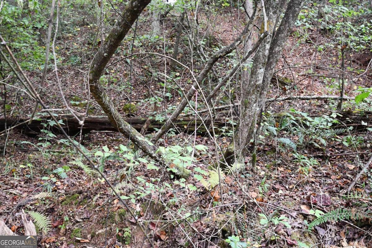 00001 Poplar Springs Road Property Photo 50