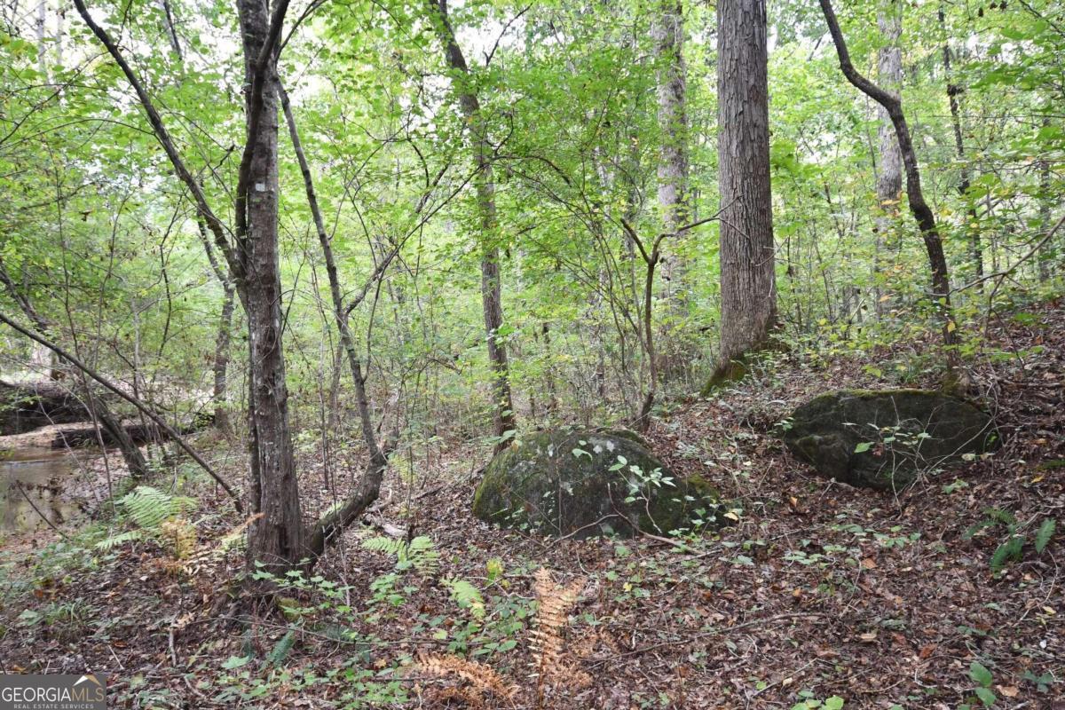 00001 Poplar Springs Road Property Photo 51