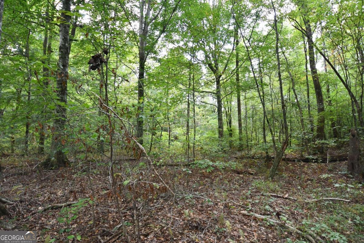 00001 Poplar Springs Road Property Photo 52