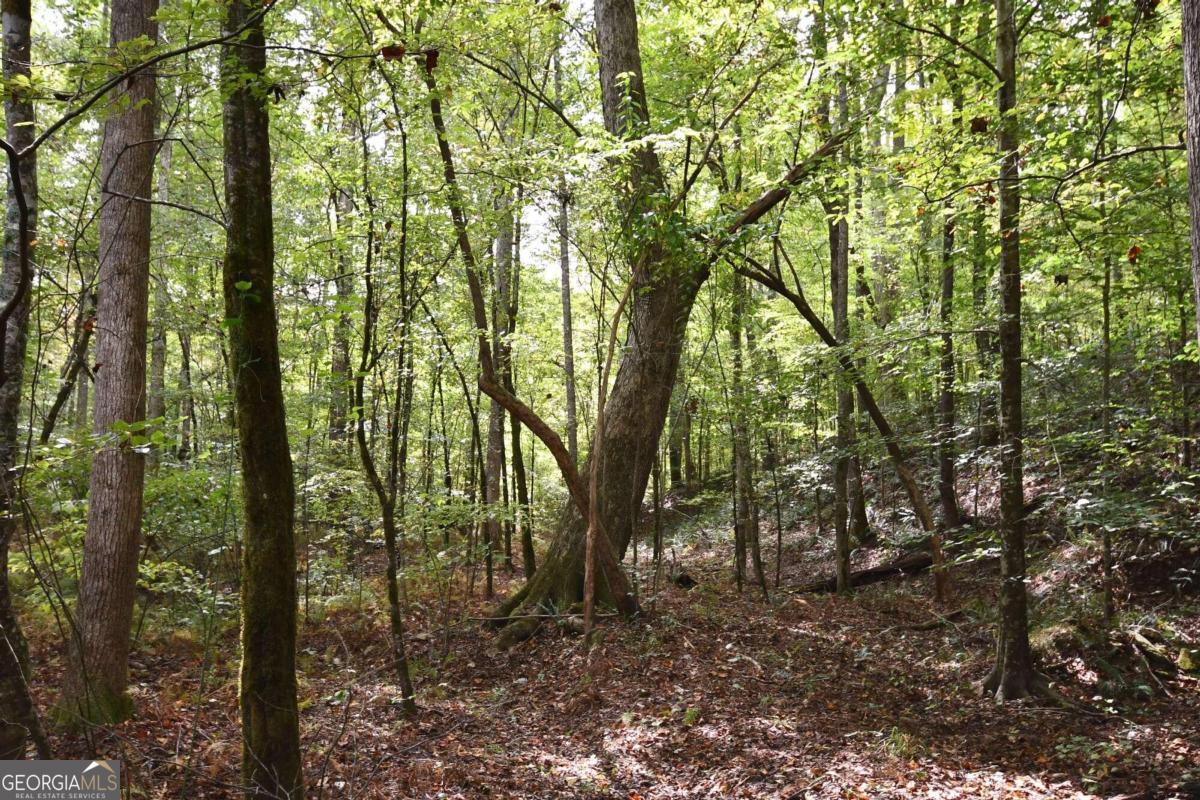 00001 Poplar Springs Road Property Photo 53