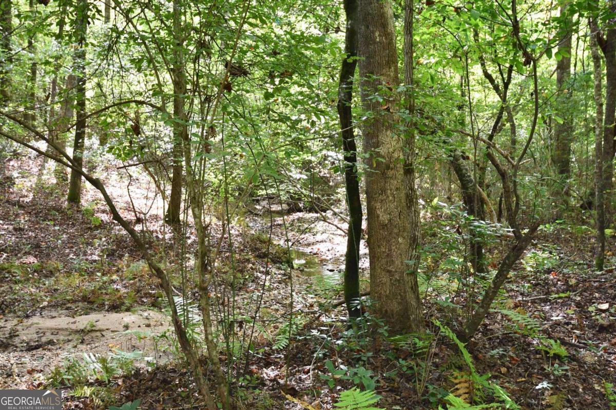 00001 Poplar Springs Road Property Photo 55
