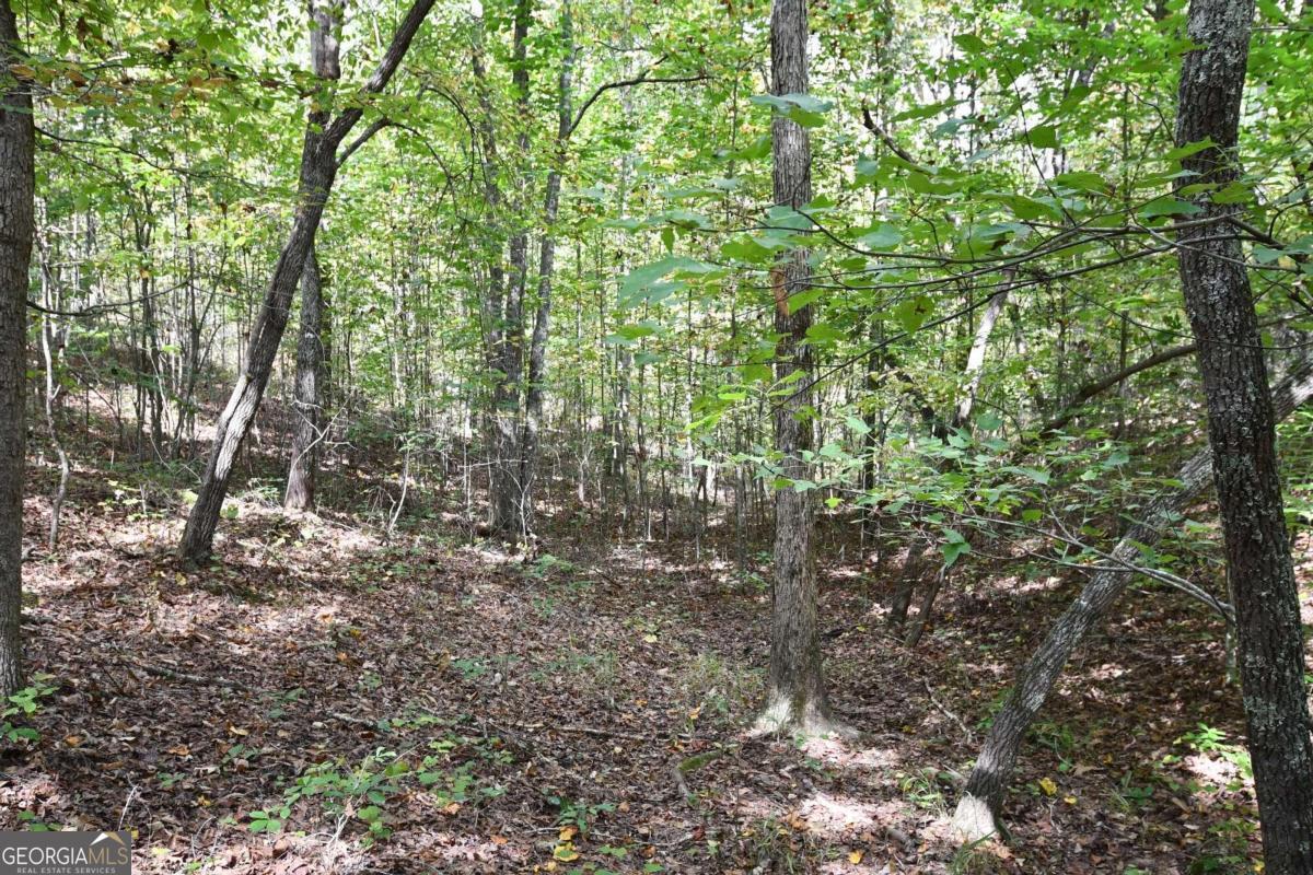 00001 Poplar Springs Road Property Photo 60