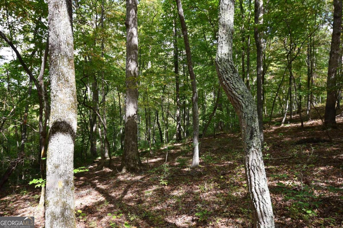 00001 Poplar Springs Road Property Photo 61