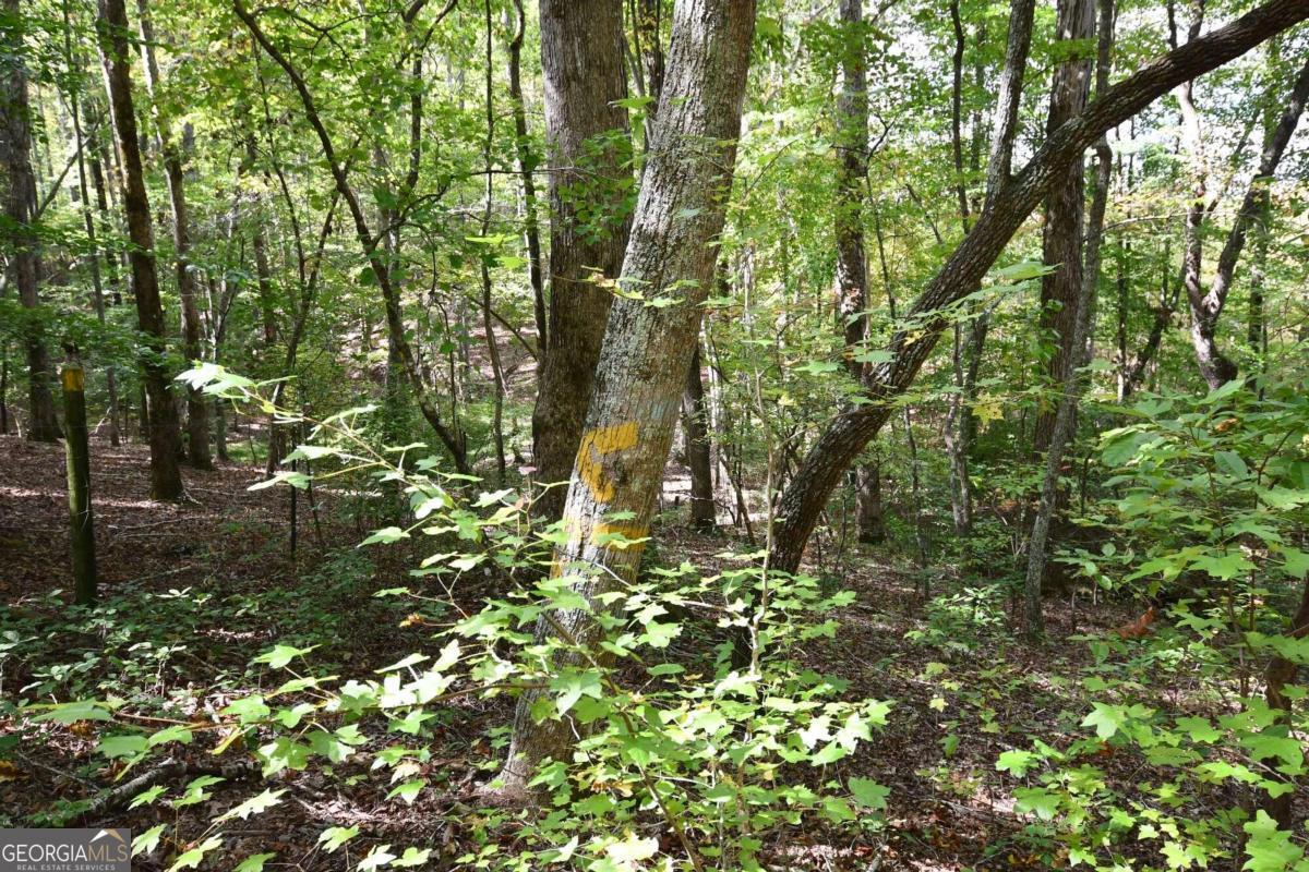 00001 Poplar Springs Road Property Photo 62
