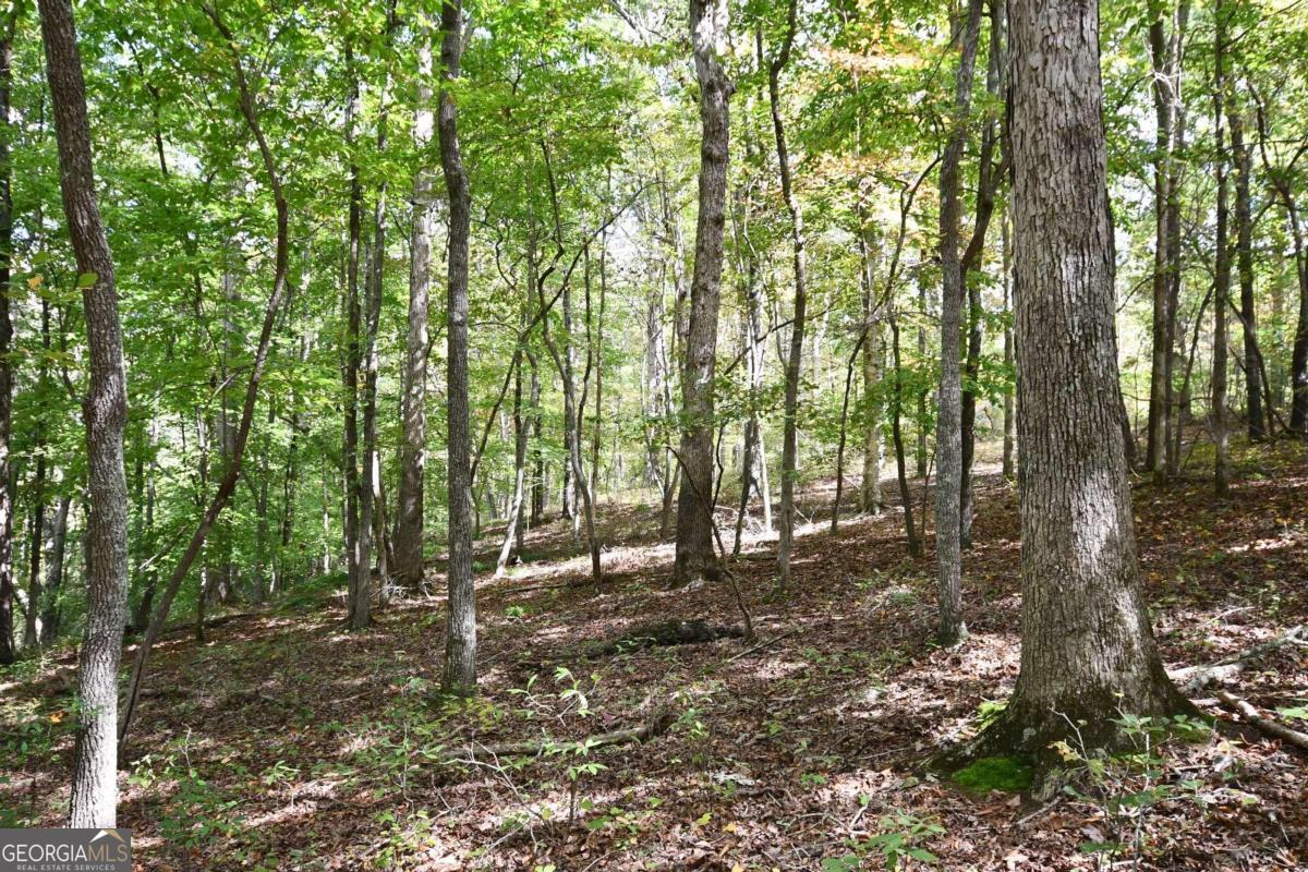 00001 Poplar Springs Road Property Photo 63