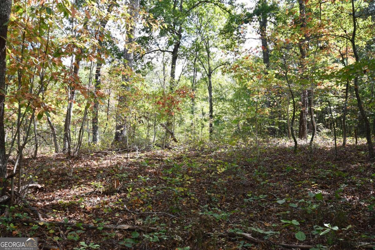 00001 Poplar Springs Road Property Photo 64