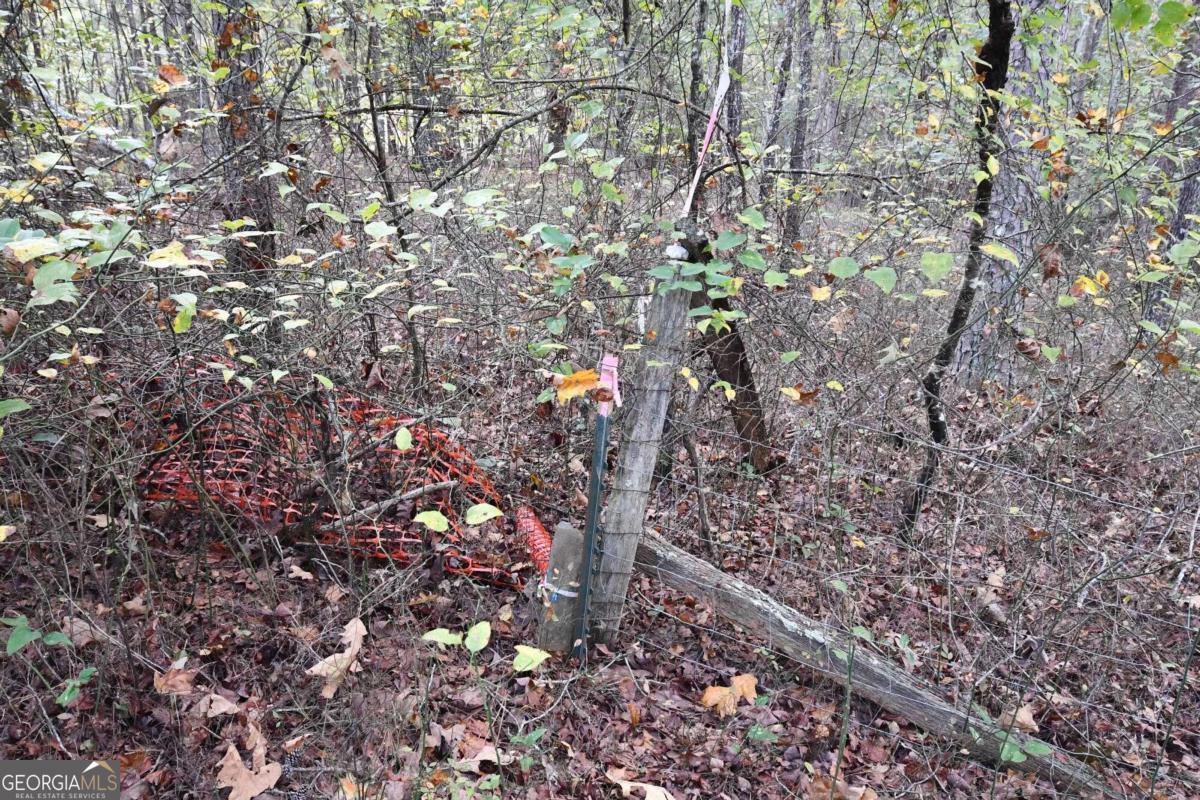 00001 Poplar Springs Road Property Photo 65