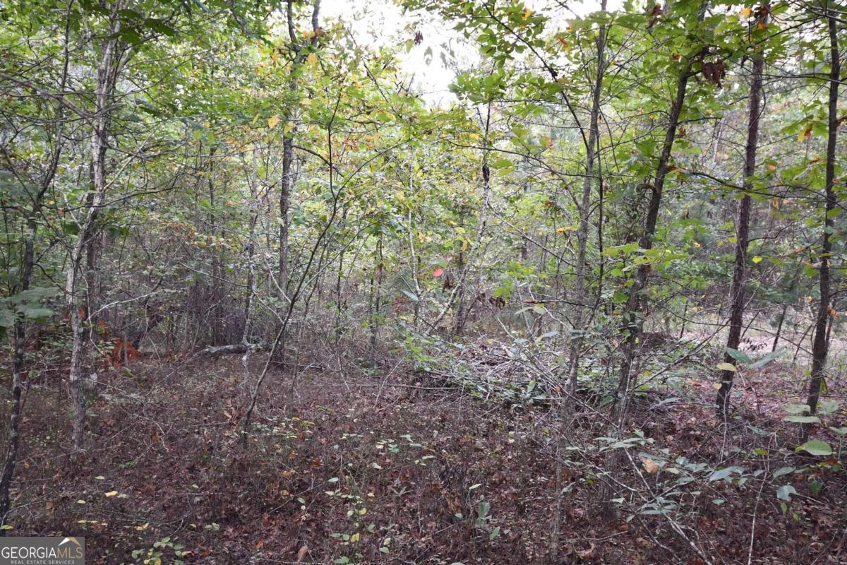 00001 Poplar Springs Road Property Photo 66