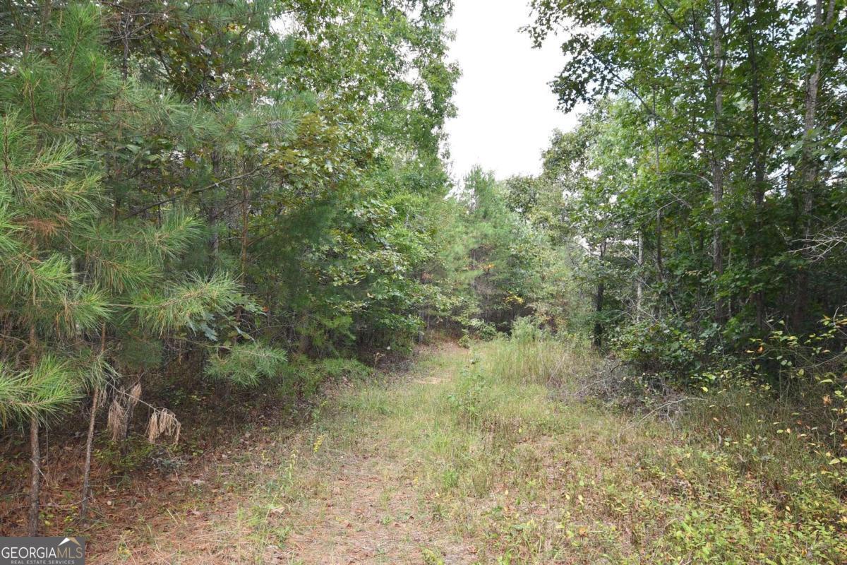 00001 Poplar Springs Road Property Photo 67