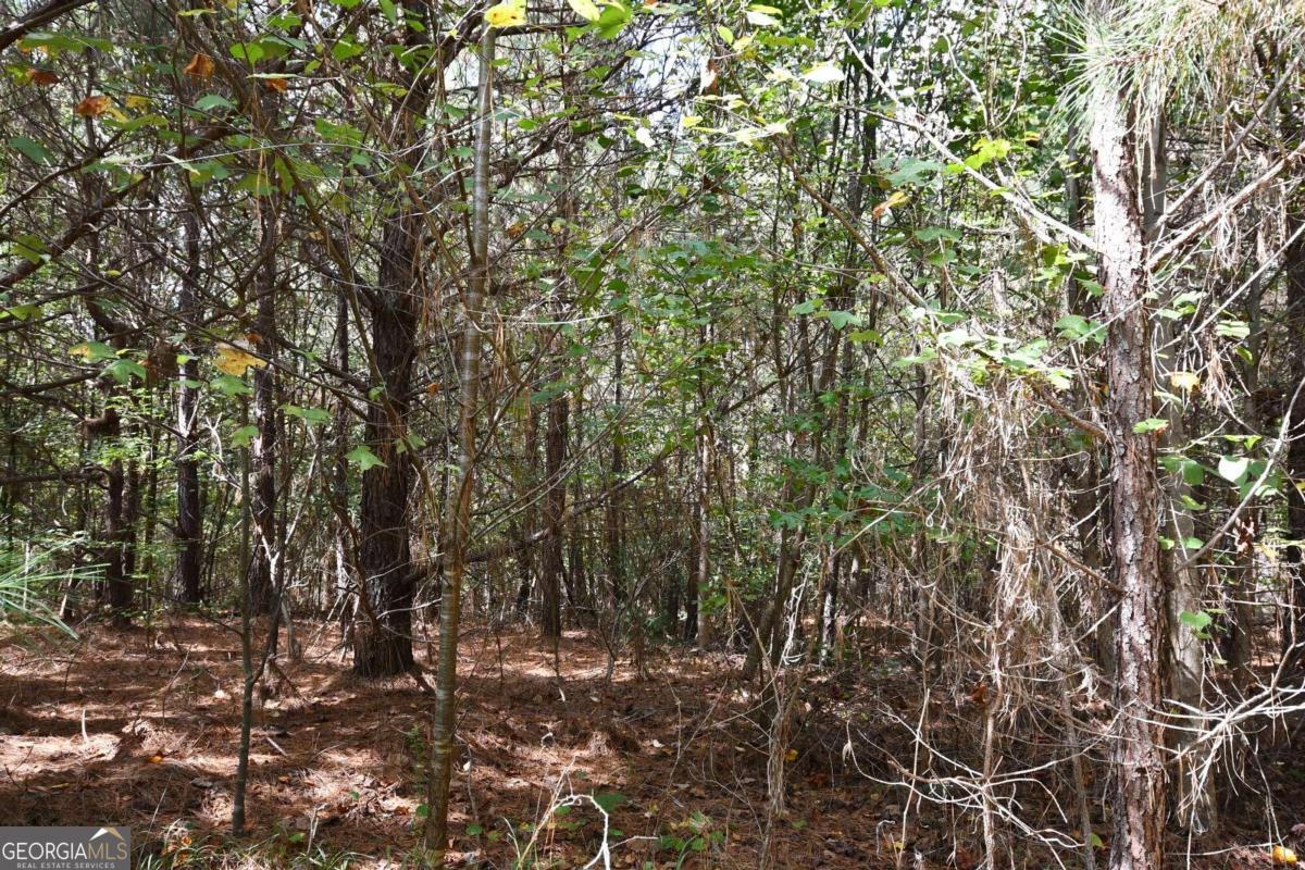 00001 Poplar Springs Road Property Photo 68