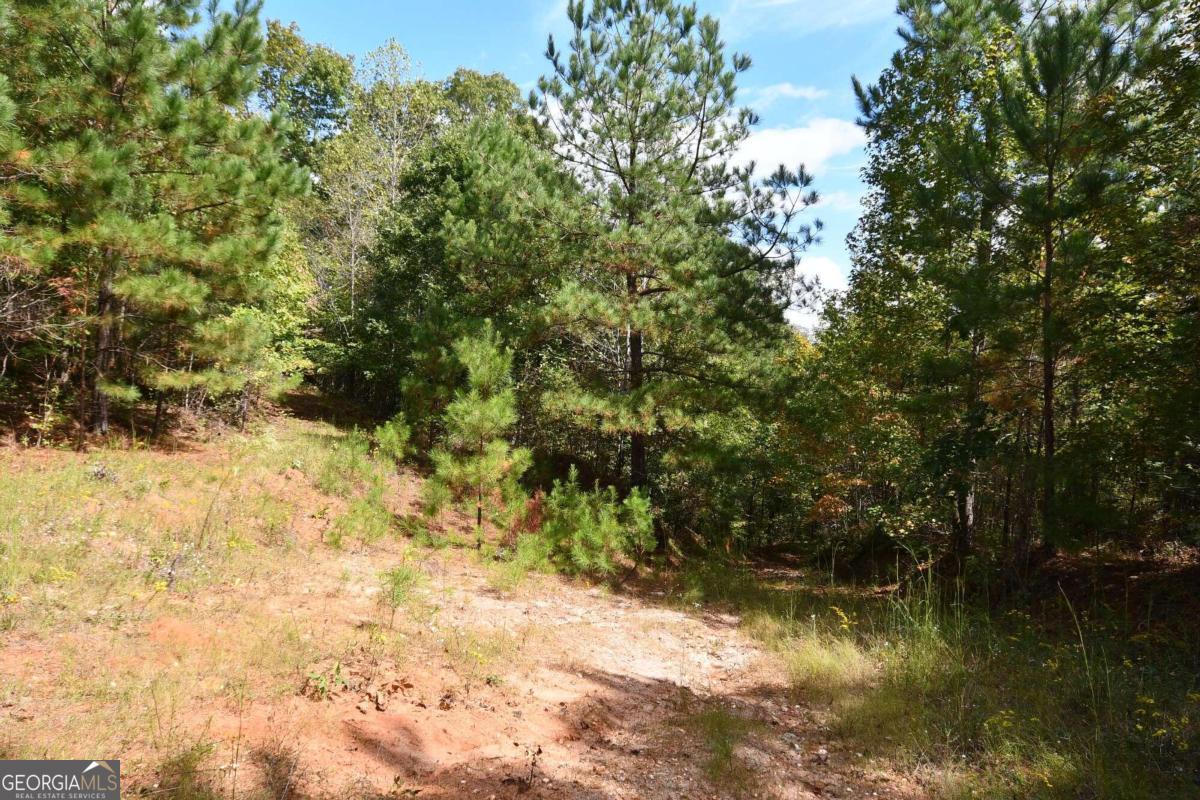 00001 Poplar Springs Road Property Photo 69