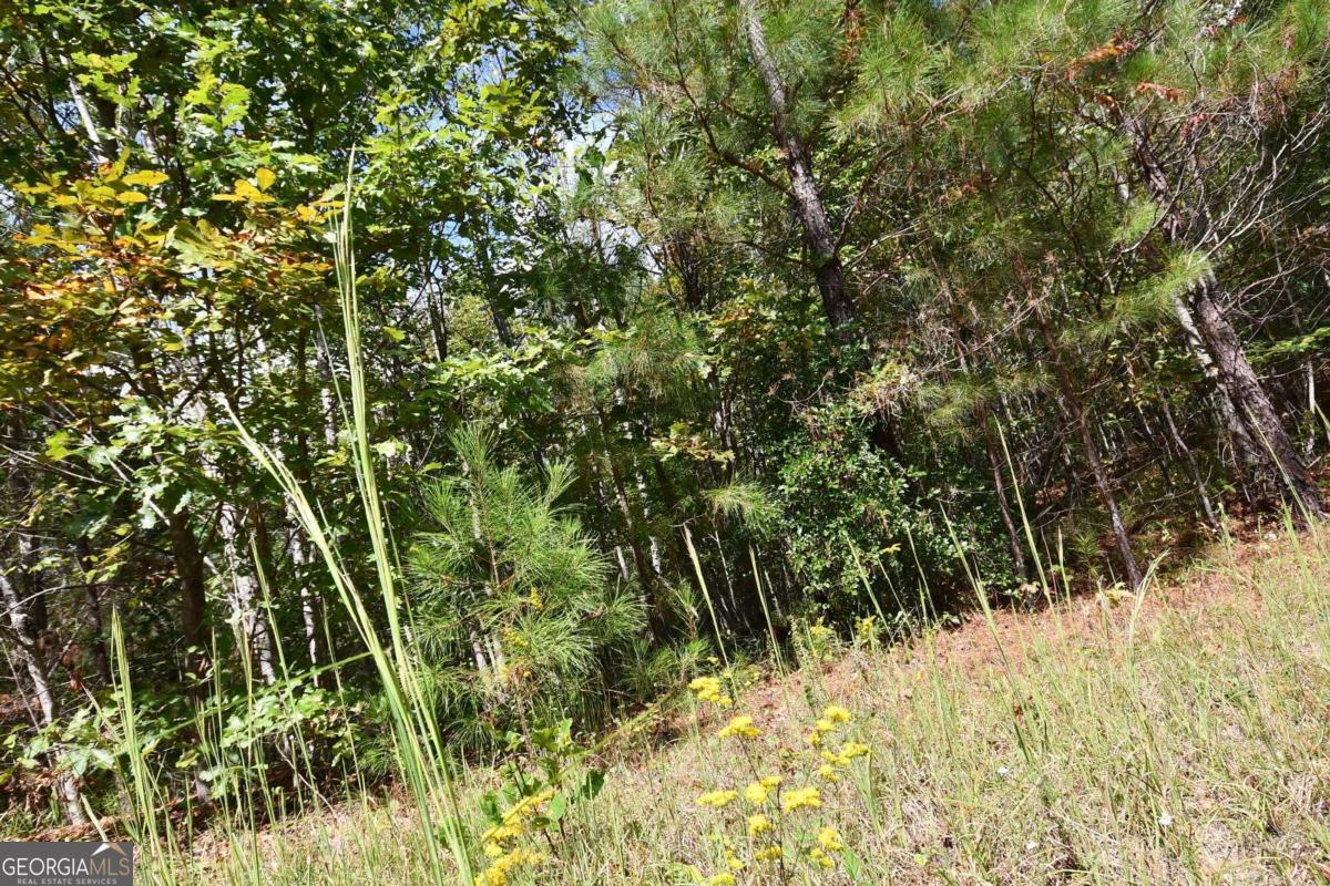 00001 Poplar Springs Road Property Photo 70