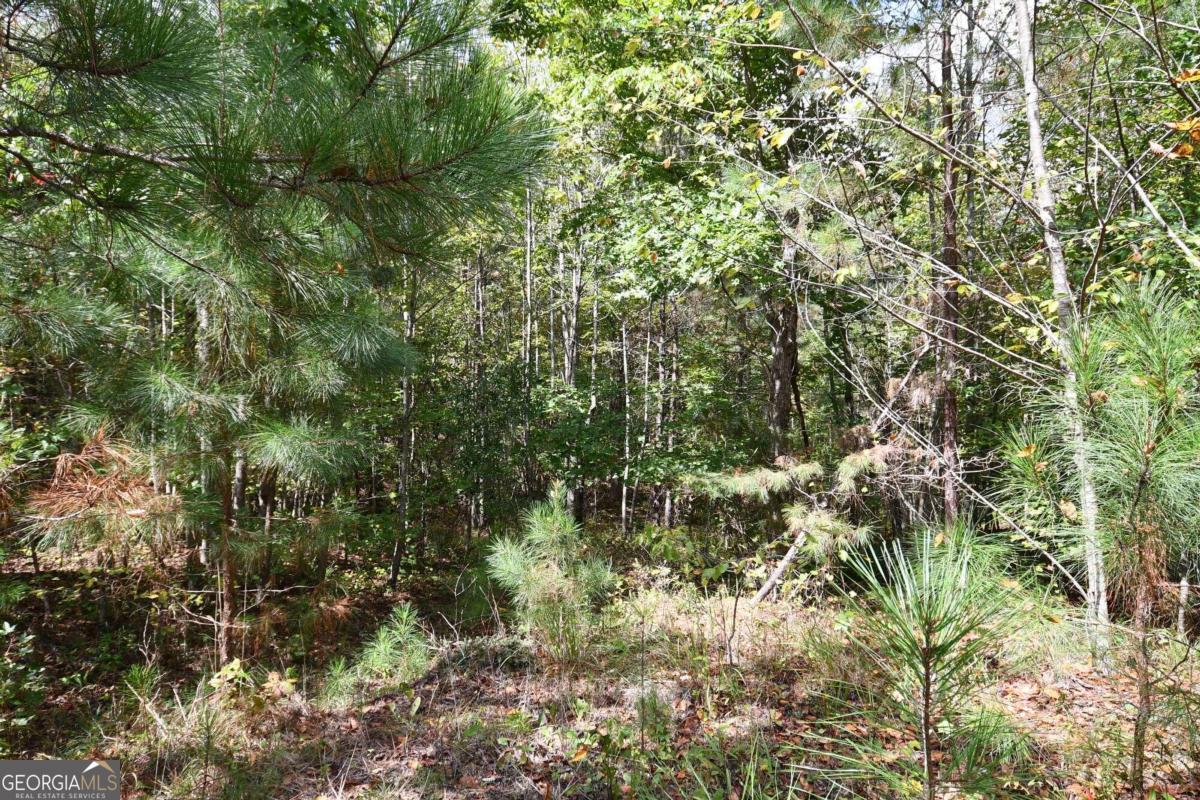 00001 Poplar Springs Road Property Photo 71