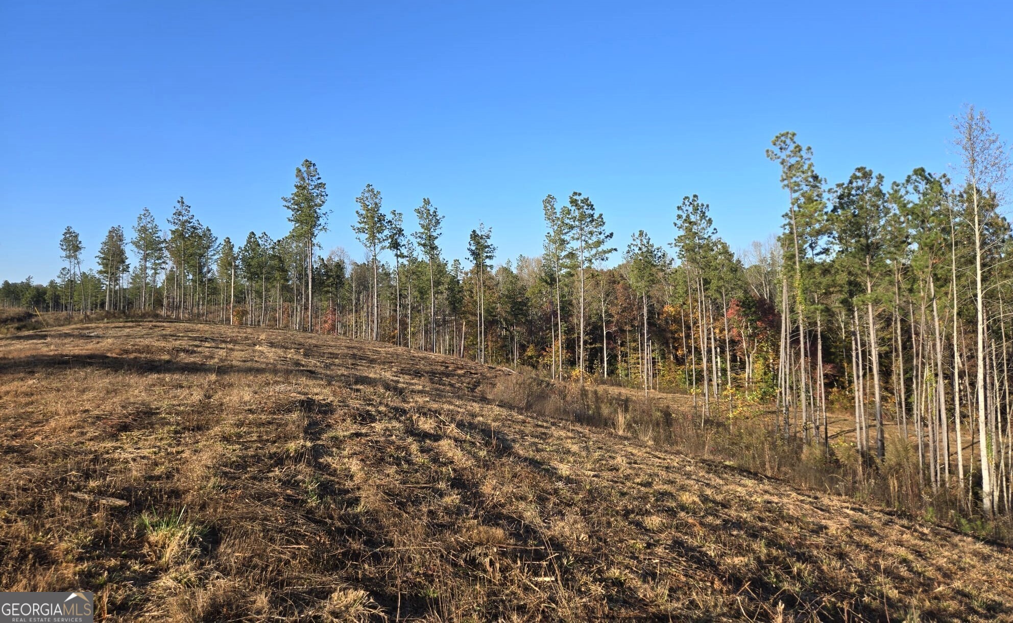 Lot 133 River Reach Lane Property Photo 3