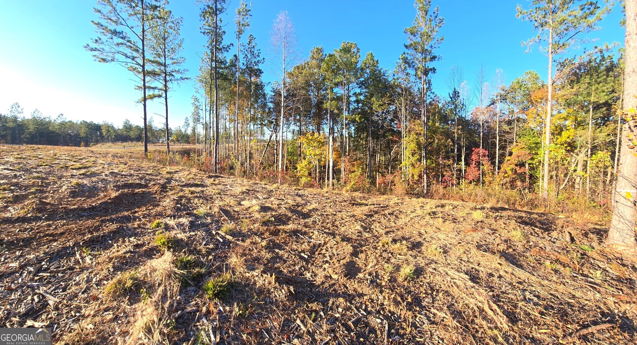 Lot 133 River Reach Lane Property Photo 4