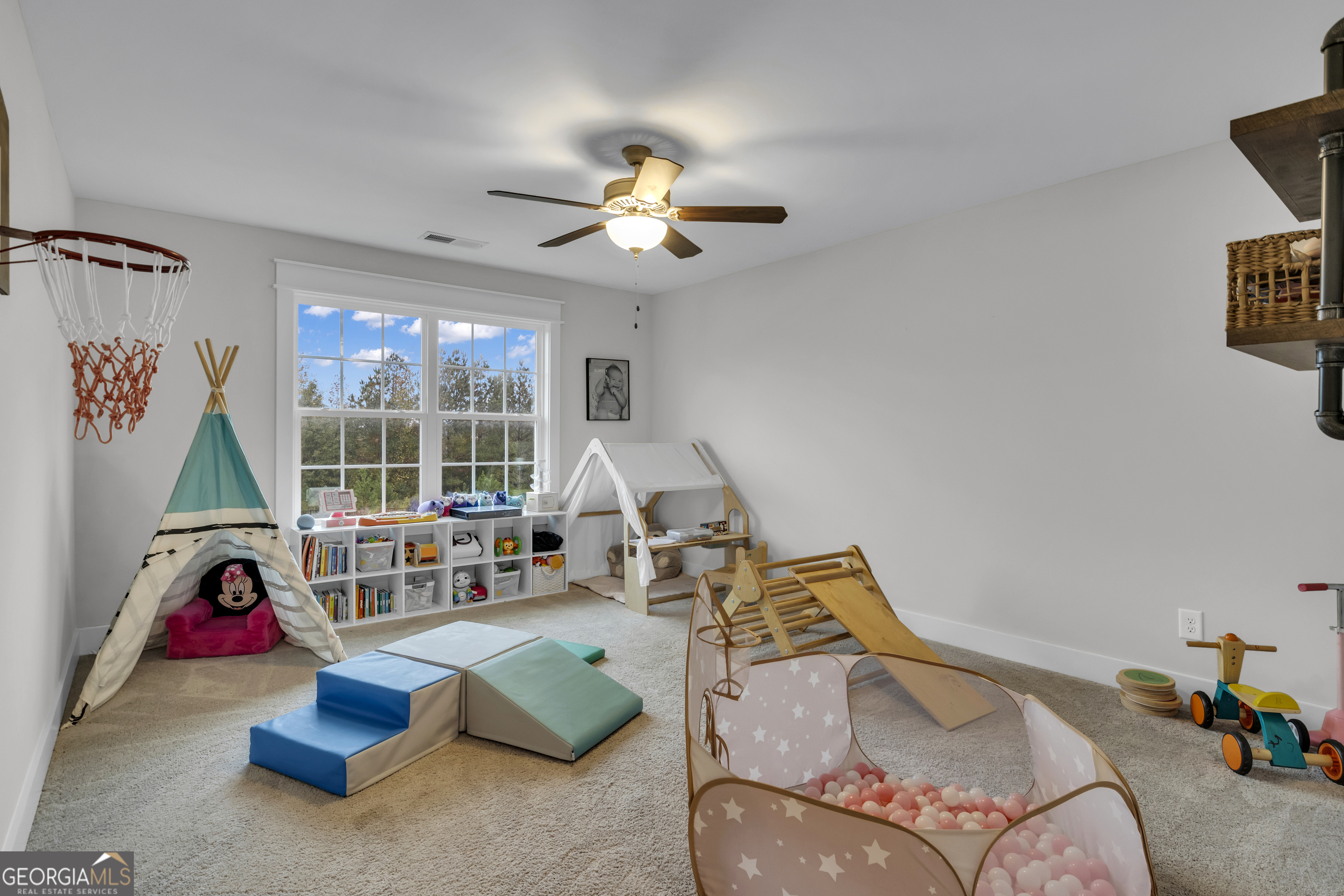 214 Senoia Oaks Way Property Photo 36