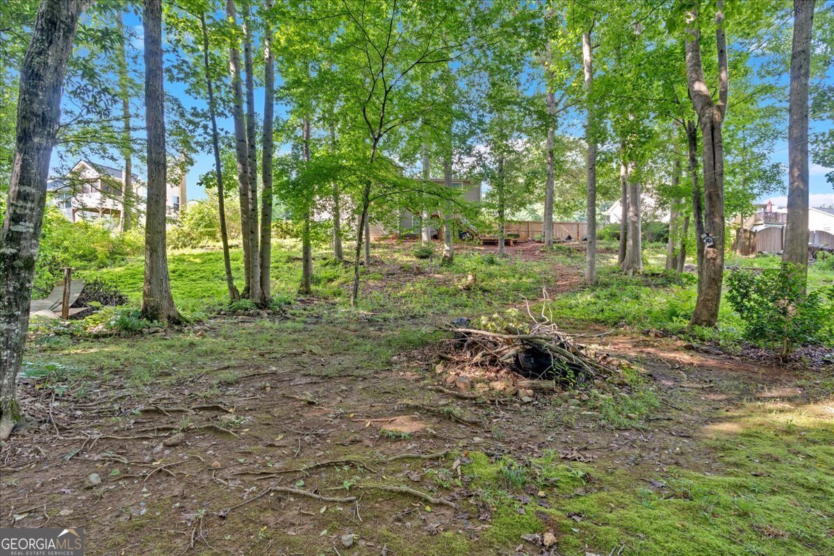 51 Meadow Spring Court Property Photo 35