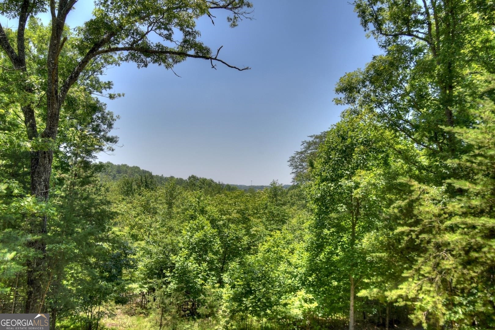 327 Dancing Trees Trail Property Photo 6