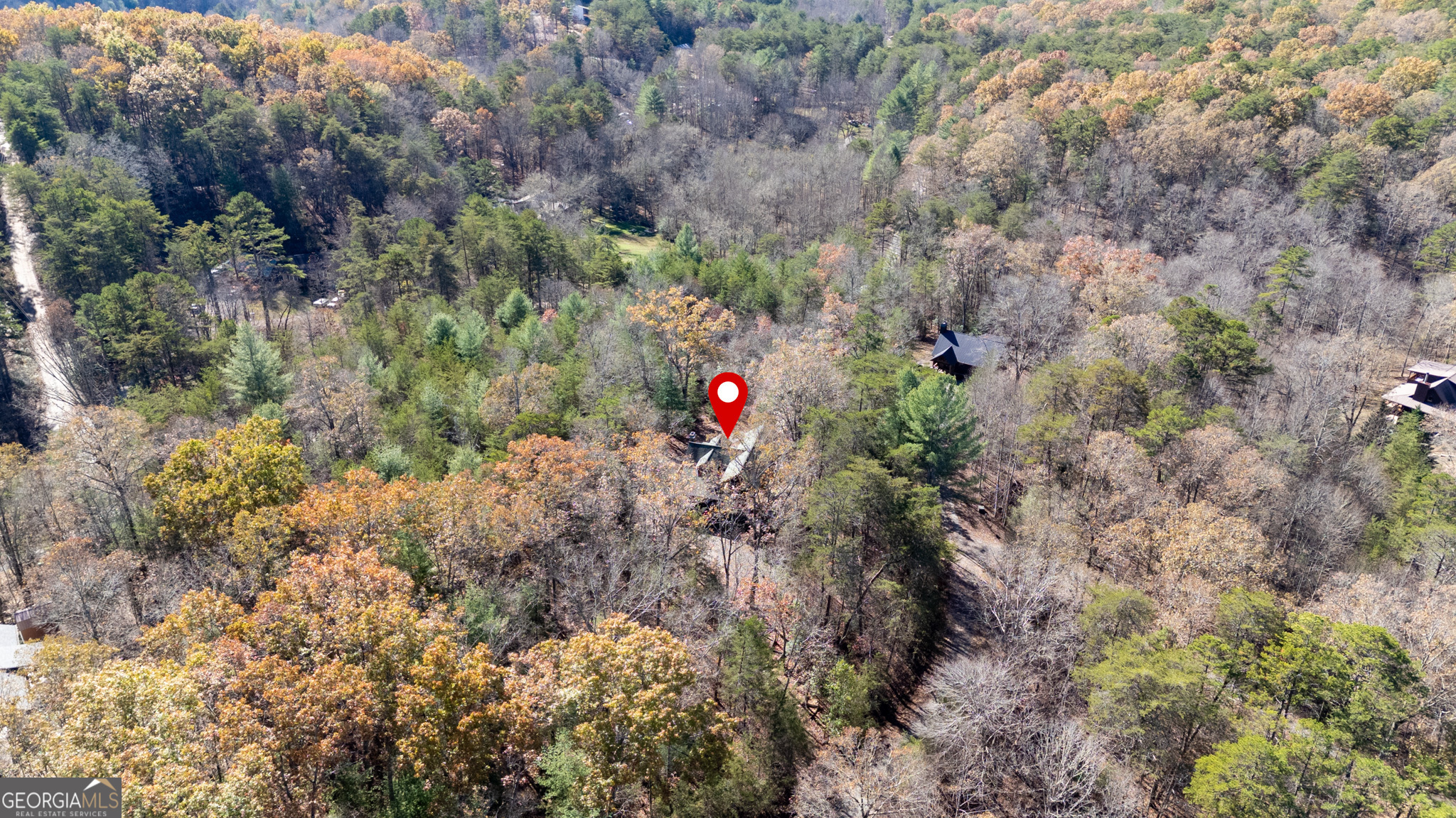 327 Dancing Trees Trail Property Photo 14
