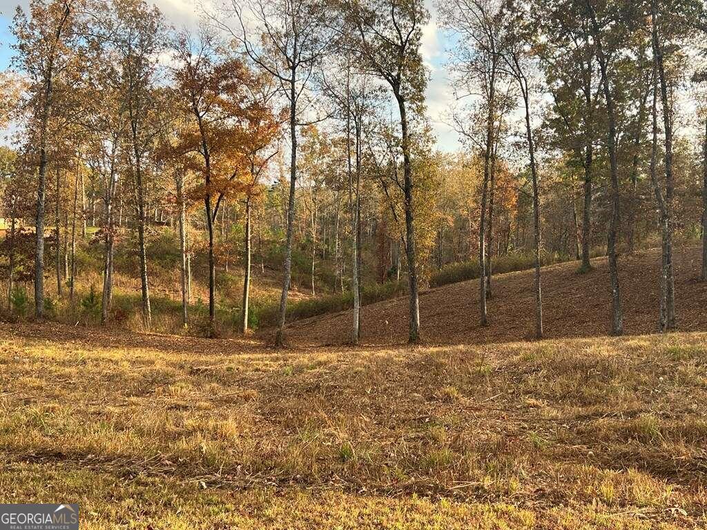 Lot 104 High River Road # 104 Property Photo 1