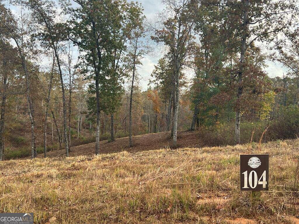 Lot 104 High River Road # 104 Property Photo 2