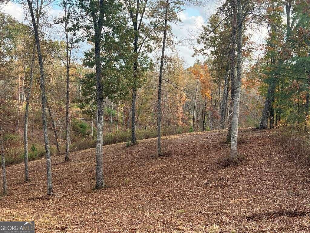 Lot 104 High River Road # 104 Property Photo 3