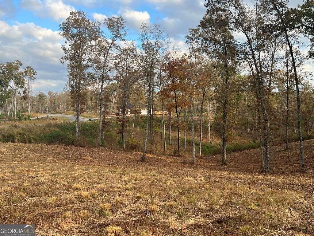Lot 104 High River Road # 104 Property Photo 6