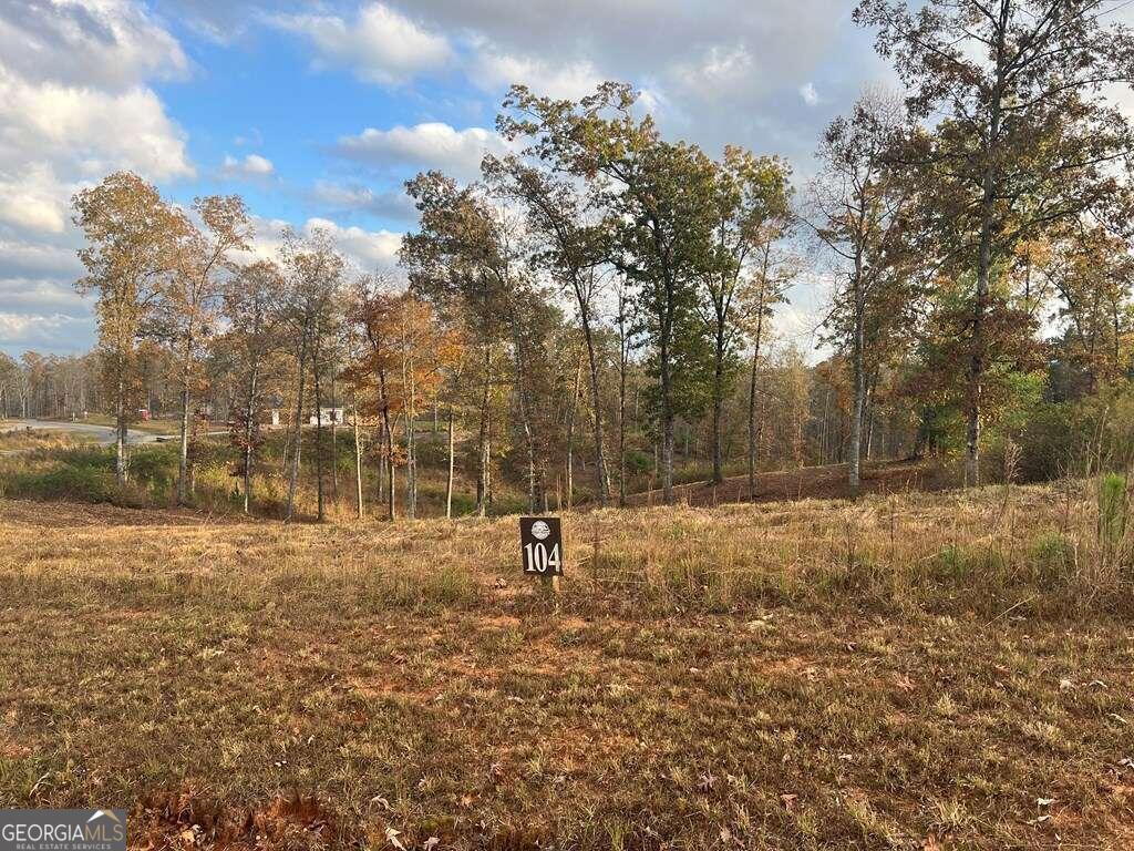 Lot 104 High River Road # 104 Property Photo 7