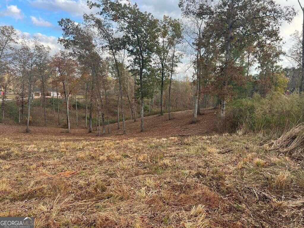 Lot 104 High River Road # 104 Property Photo 10