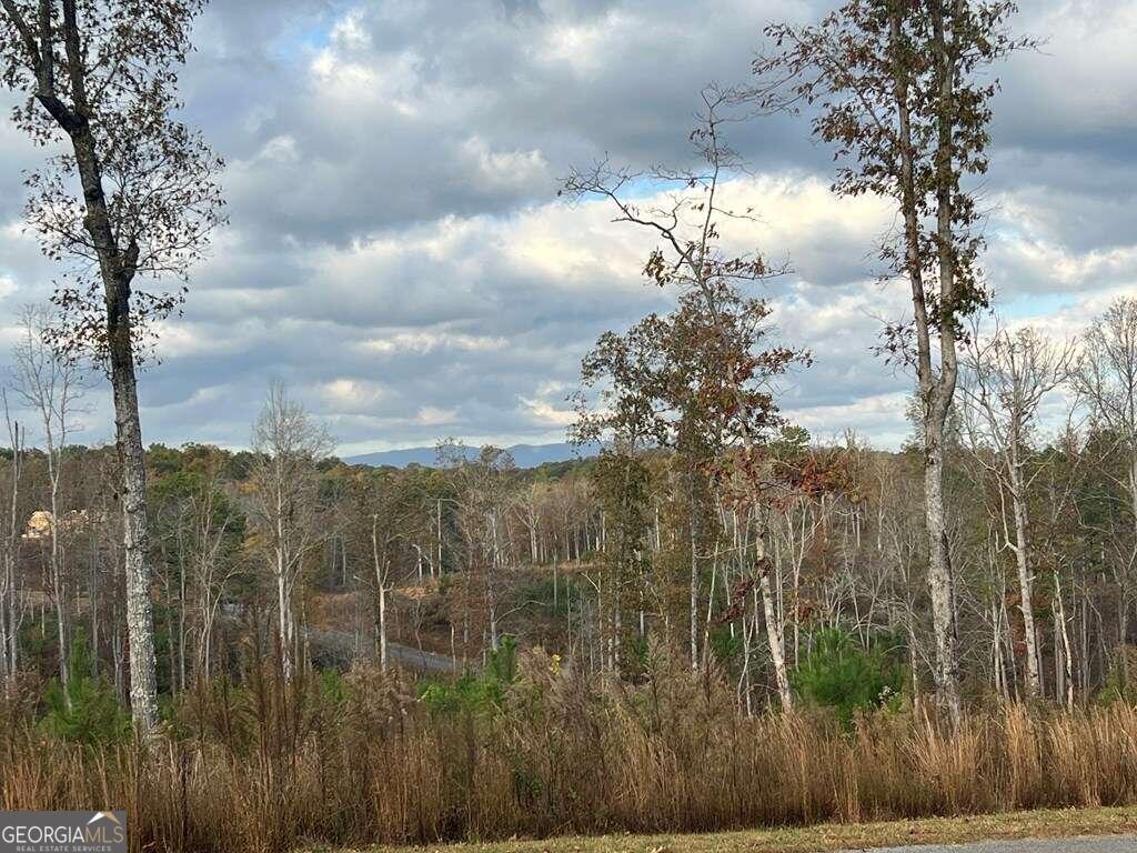 Lot 104 High River Road # 104 Property Photo 12