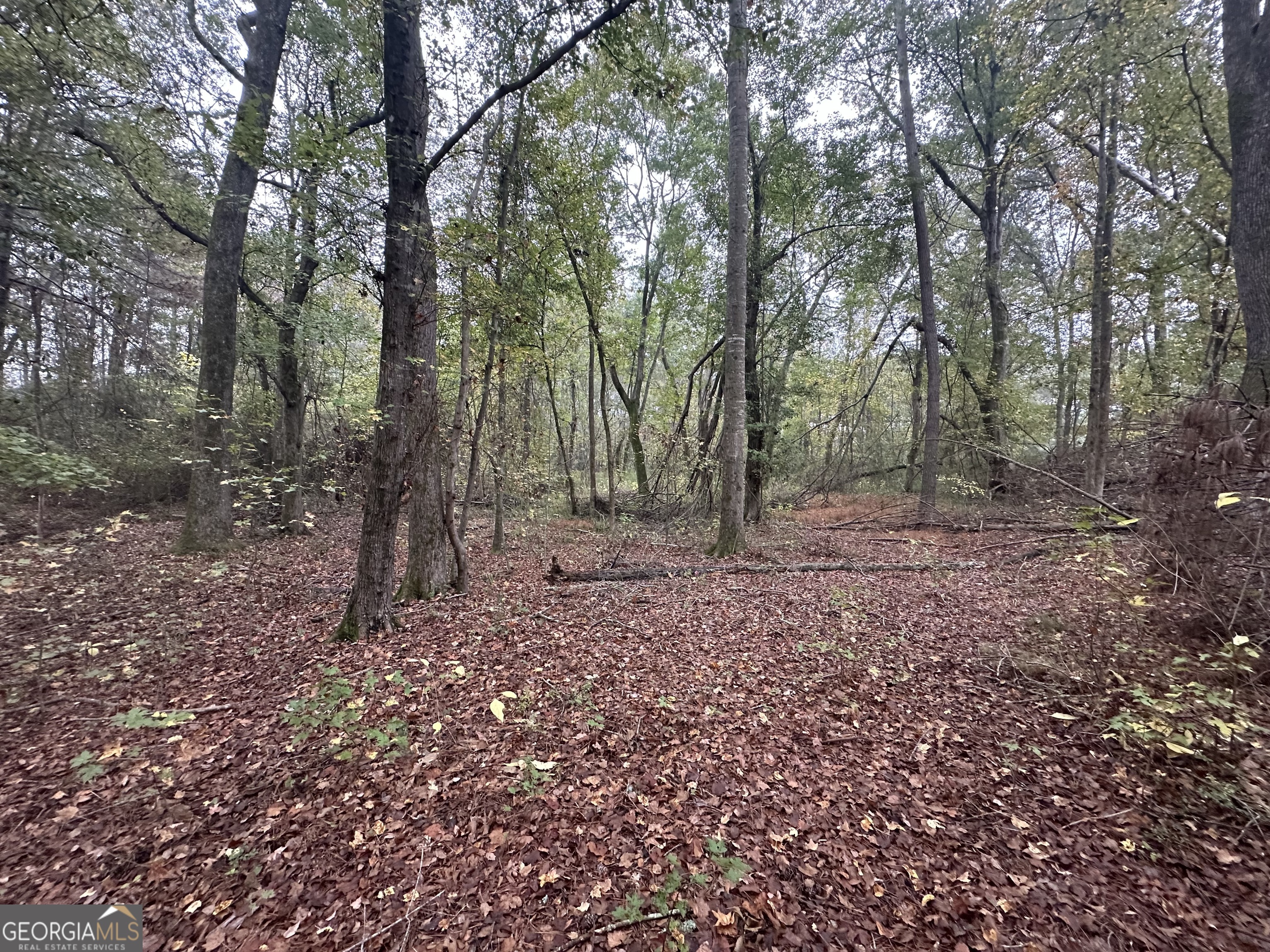 0 S. Bethany Property Photo 3