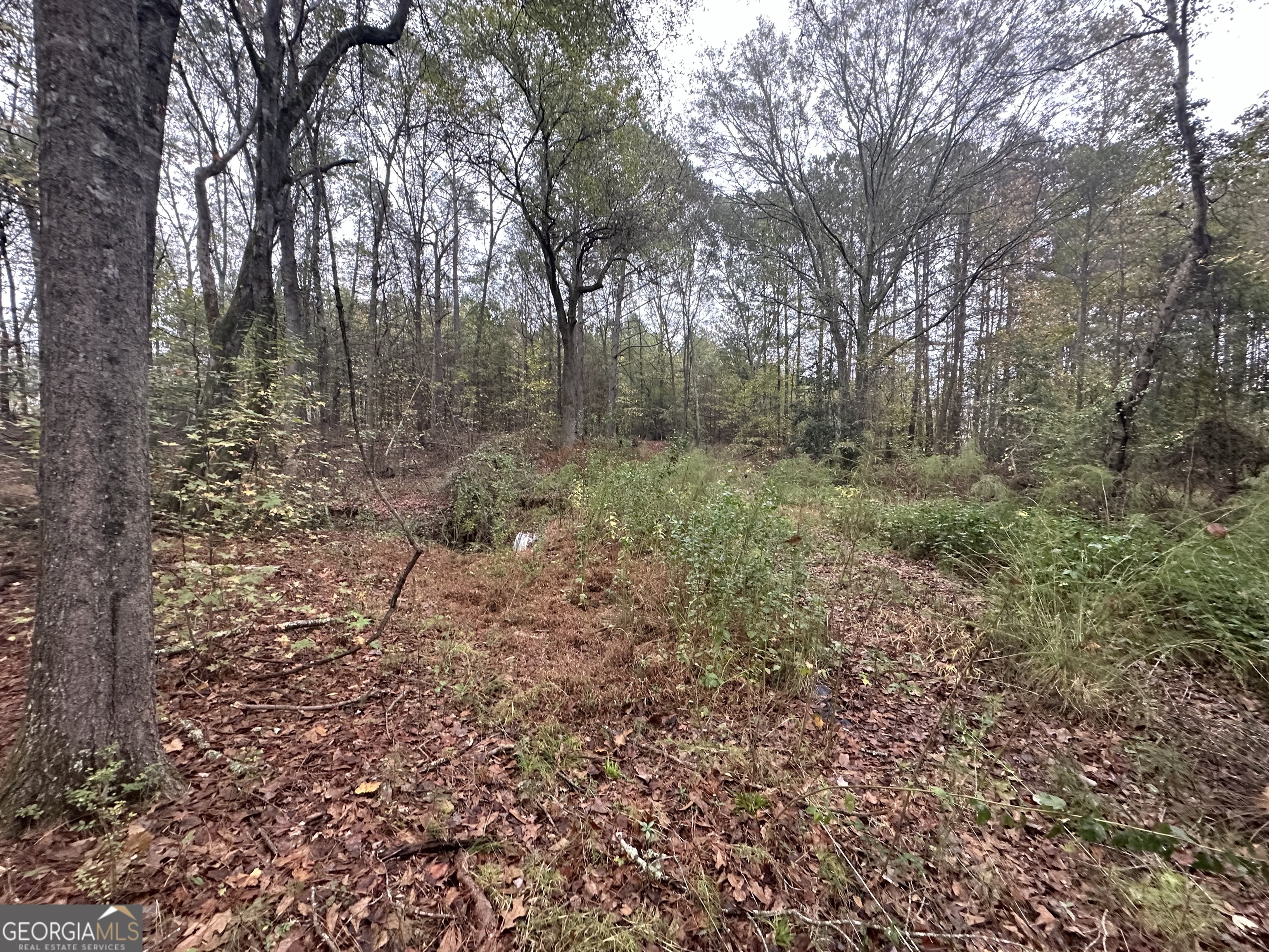 0 S. Bethany Property Photo 4