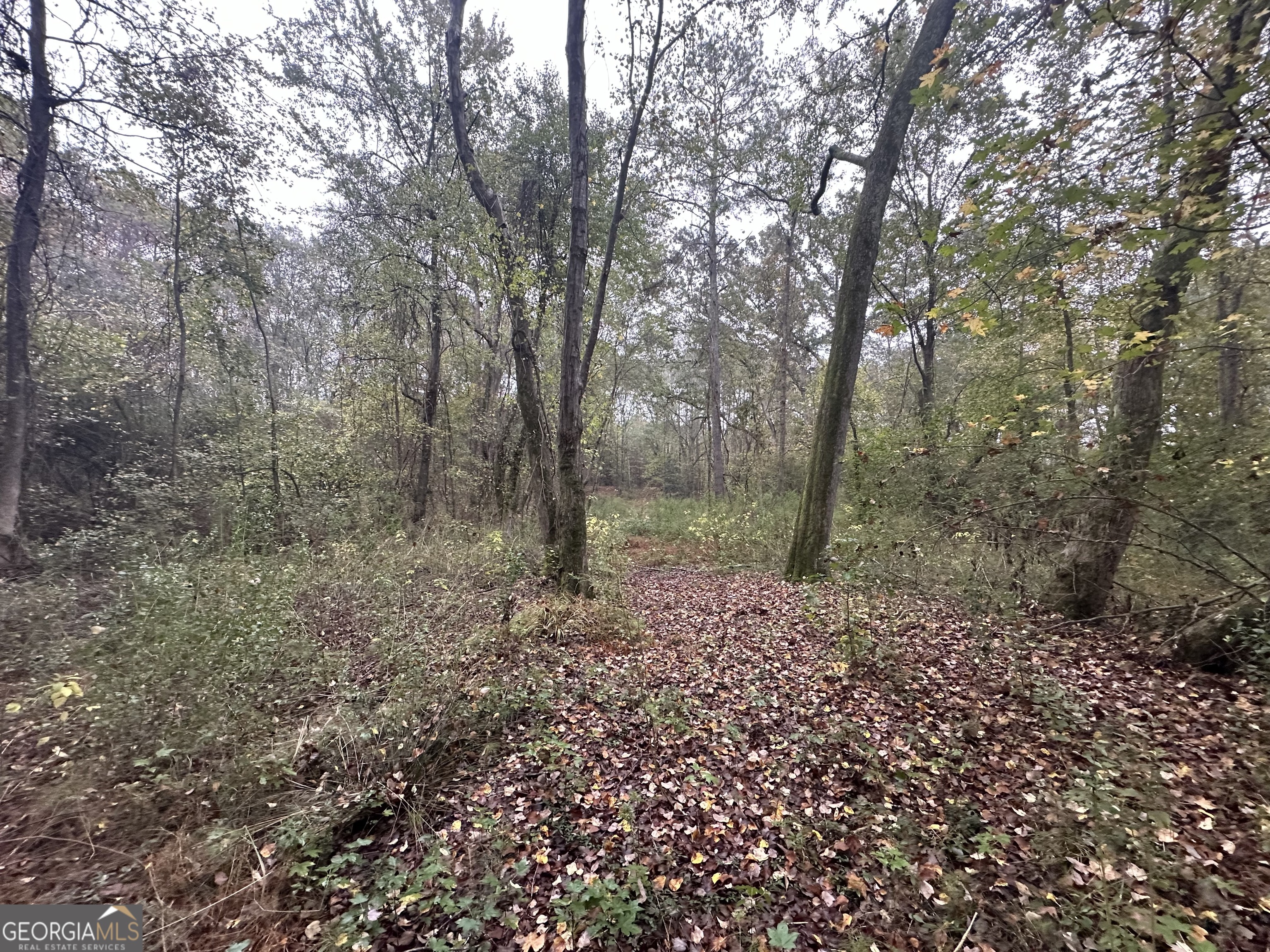 0 S. Bethany Property Photo 5