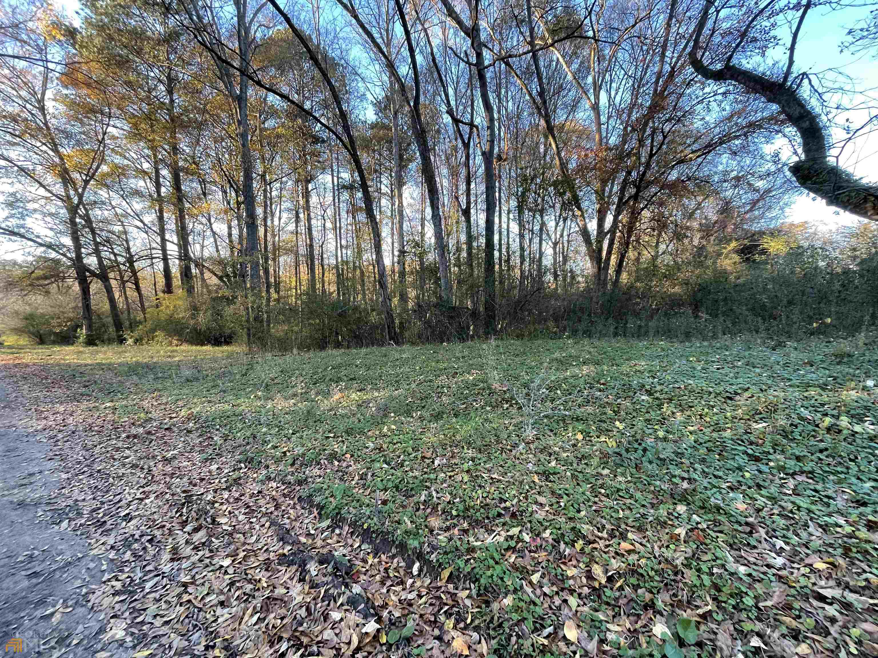 0 Hwy 16 Property Photo 3