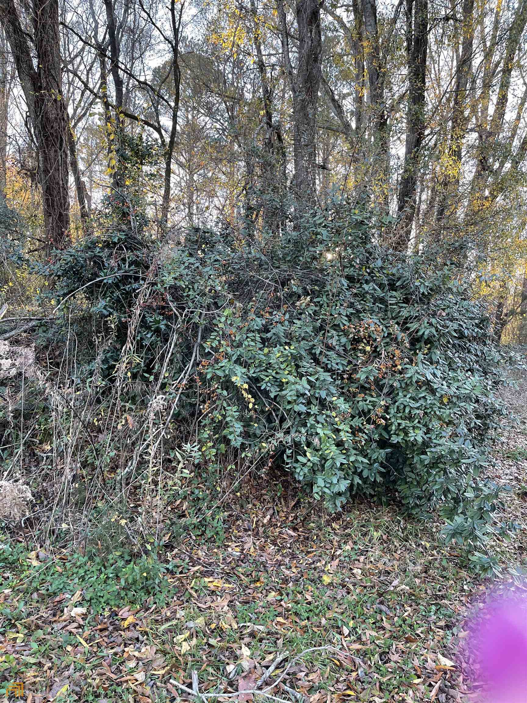 0 Hwy 16 Property Photo 5
