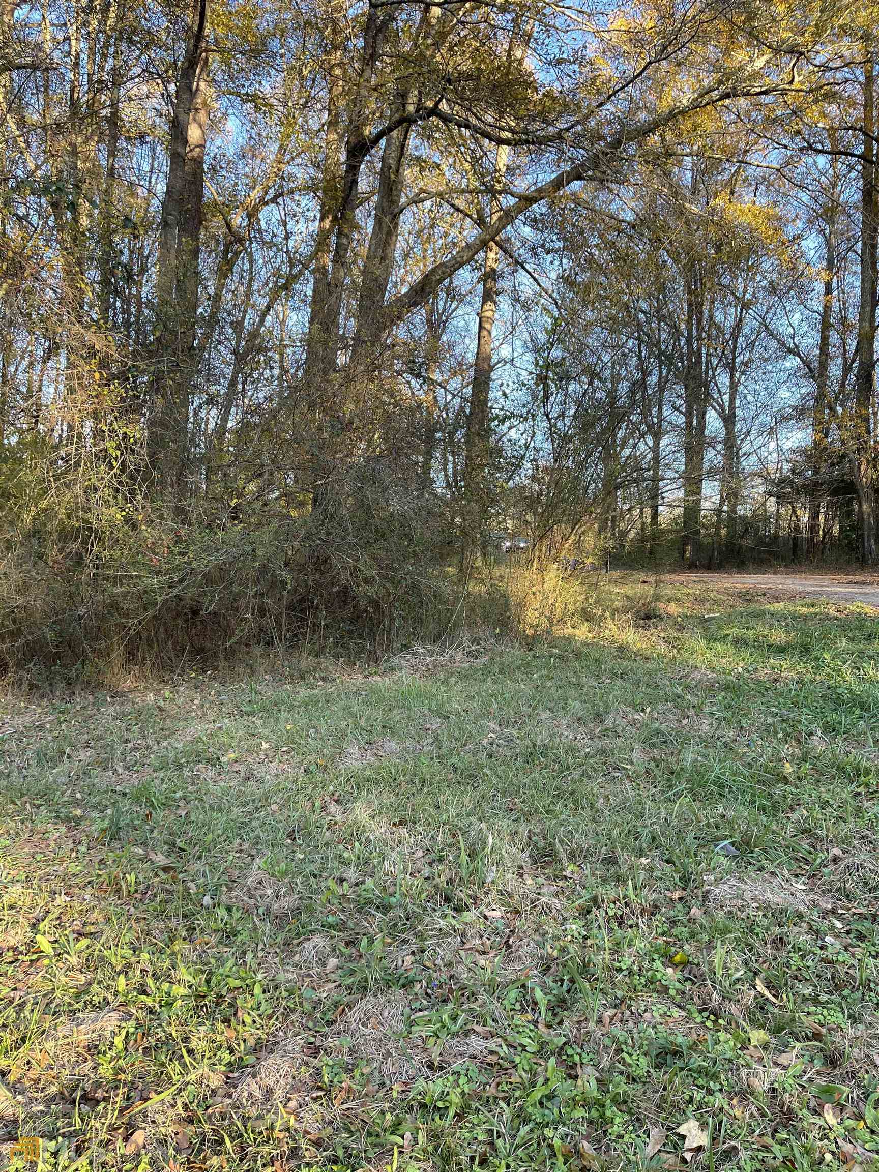 0 Hwy 16 Property Photo 8
