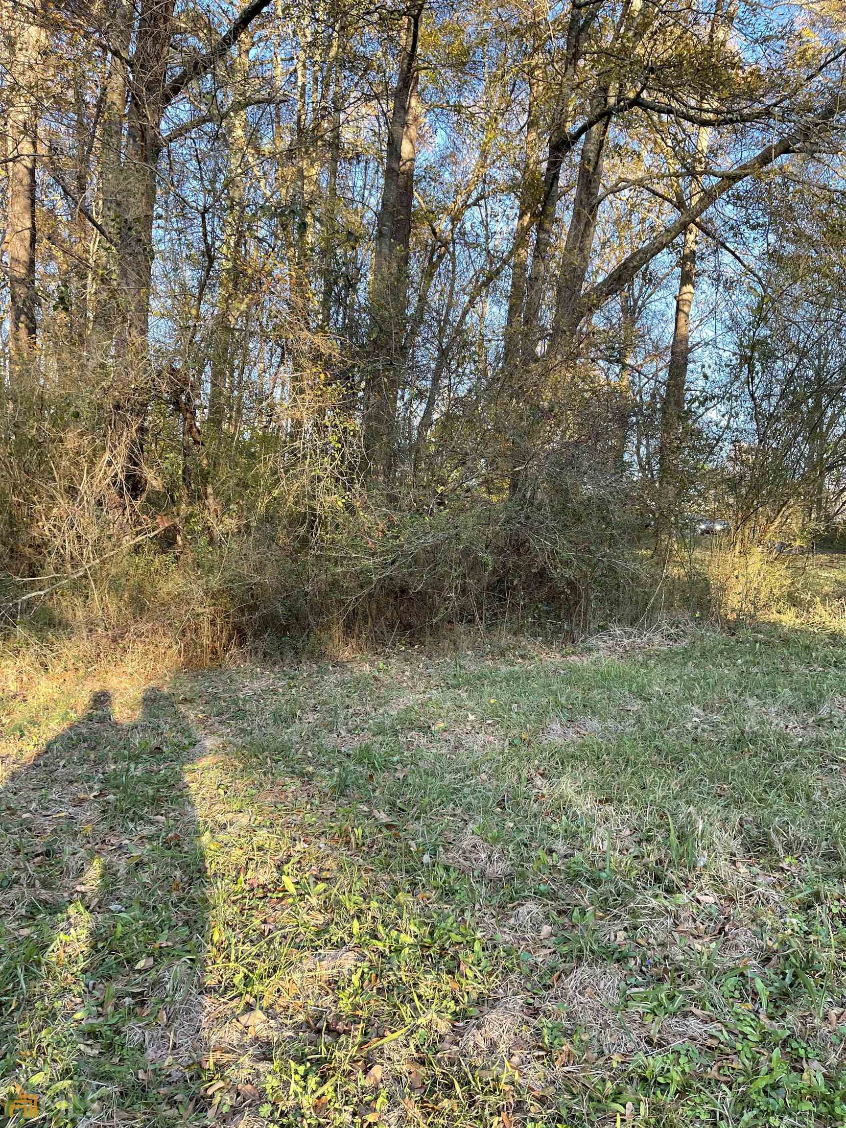 0 Hwy 16 Property Photo 10