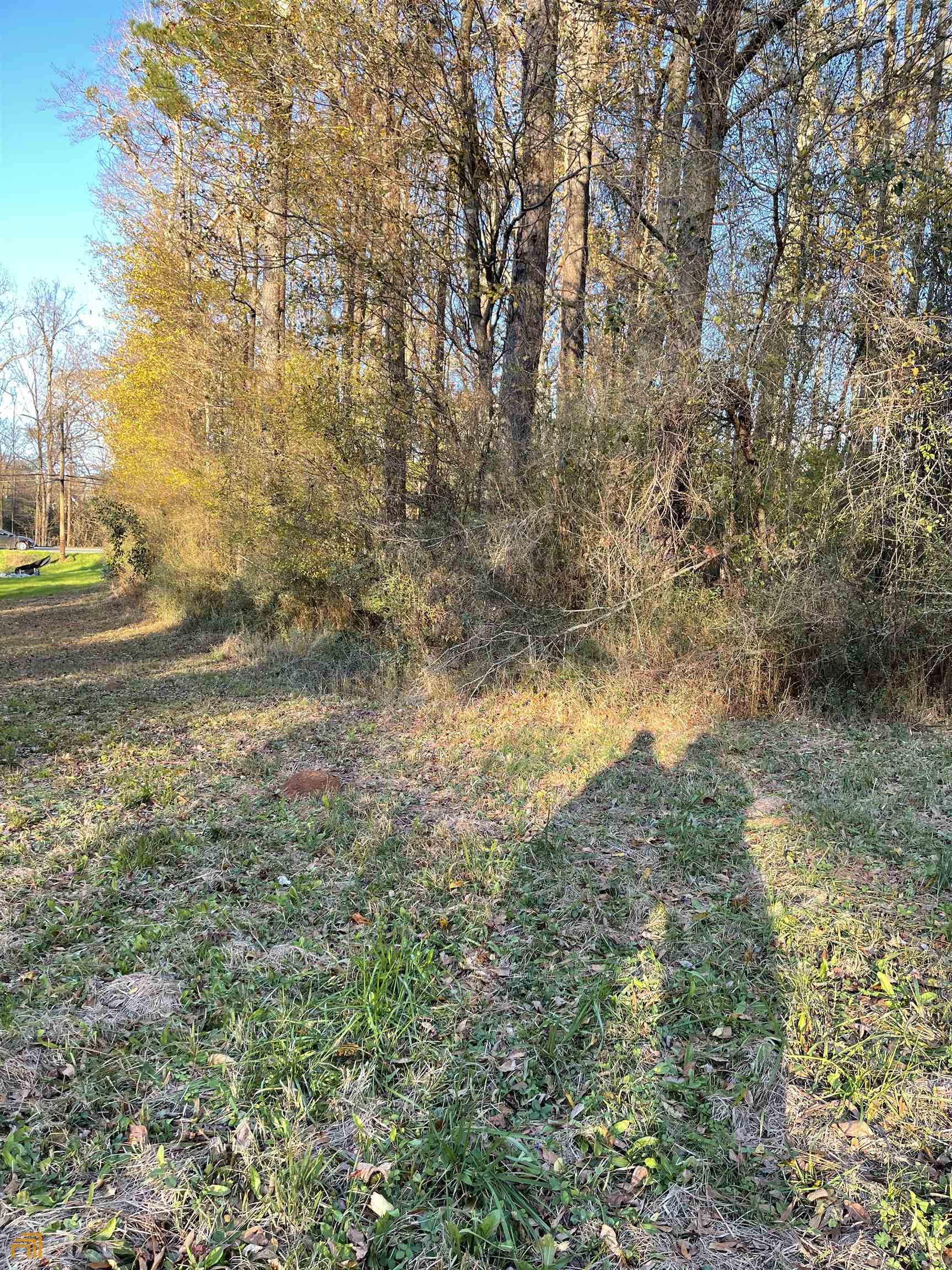 0 Hwy 16 Property Photo 11