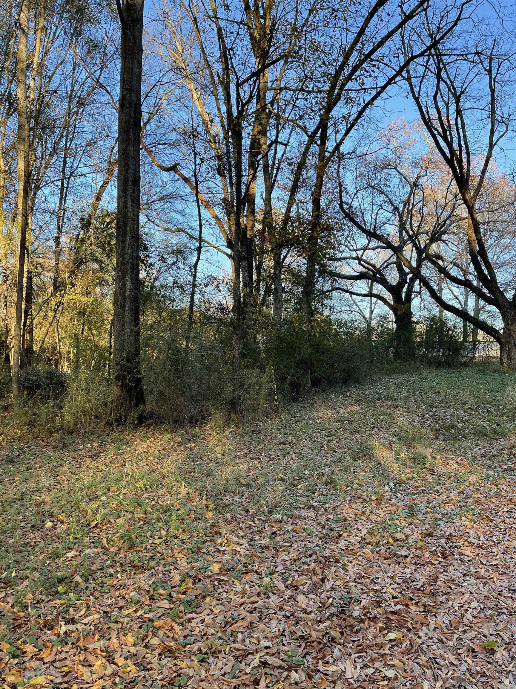 0 Hwy 16 Property Photo 12