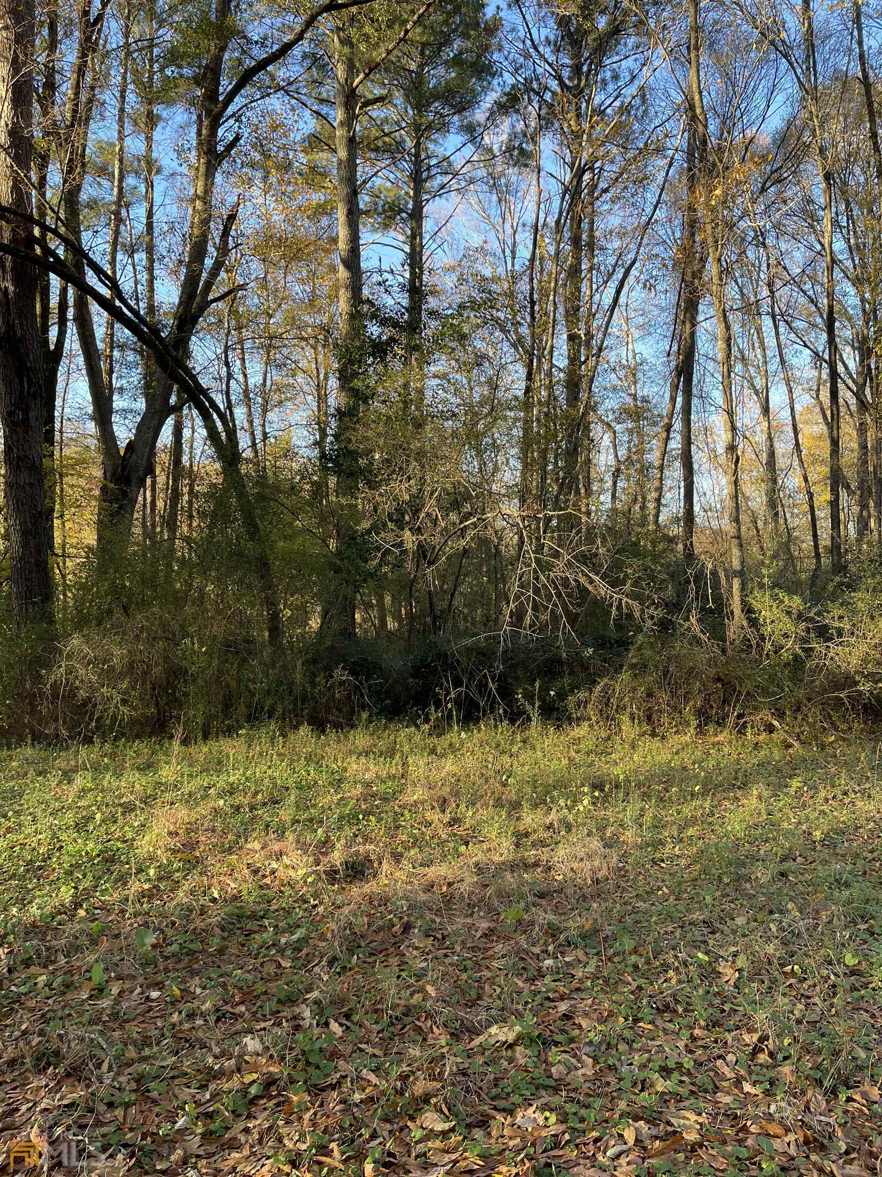 0 Hwy 16 Property Photo 13