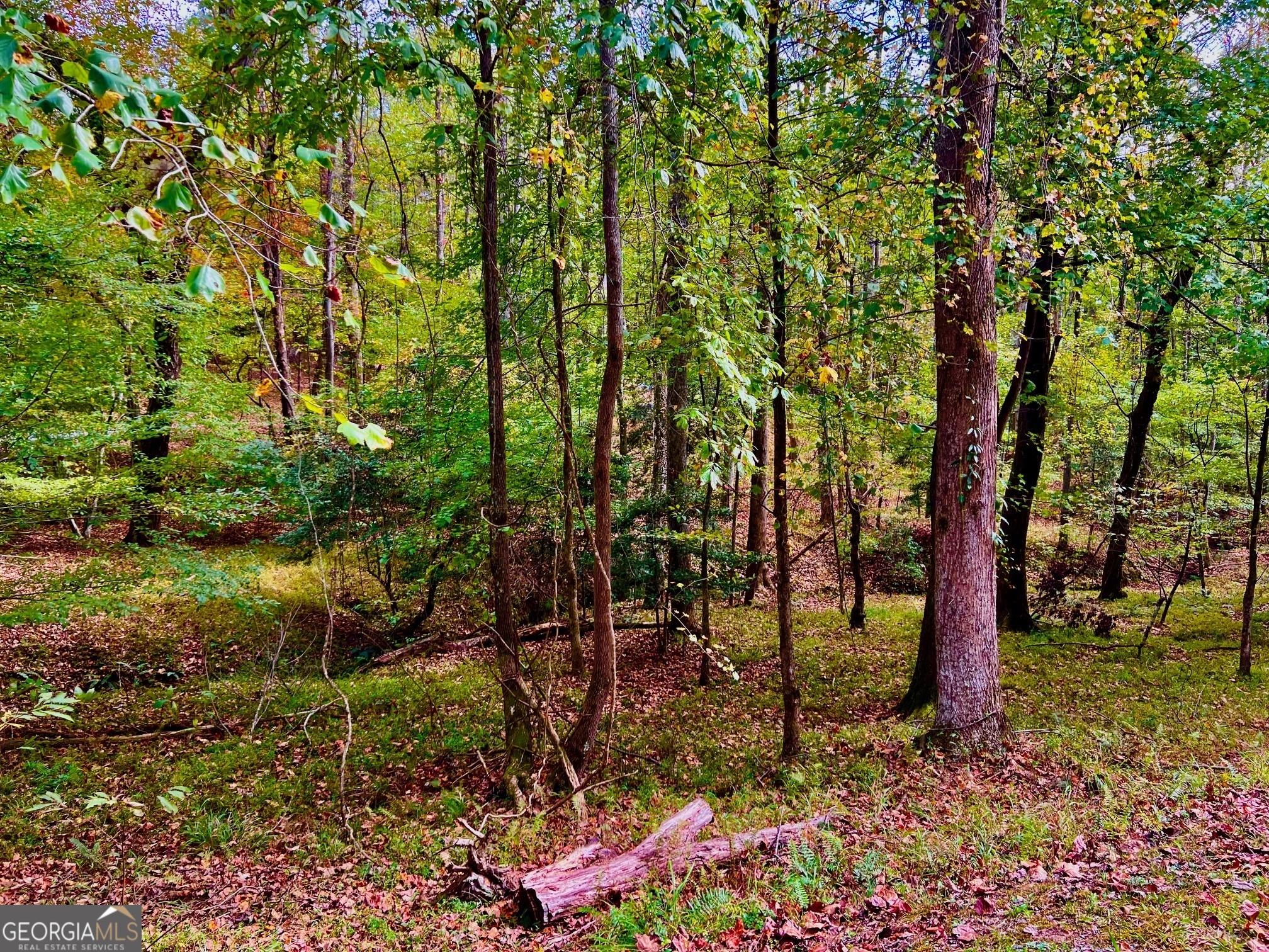 574 S Satsuma Court Property Photo 1