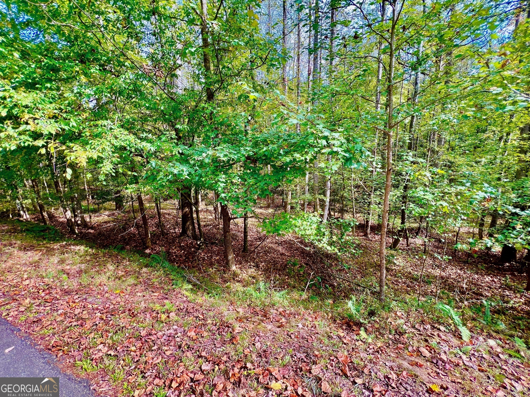 574 S Satsuma Court Property Photo 3
