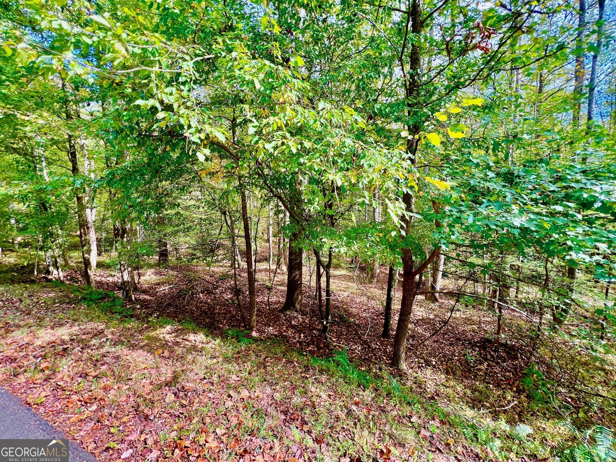 574 S Satsuma Court Property Photo 10