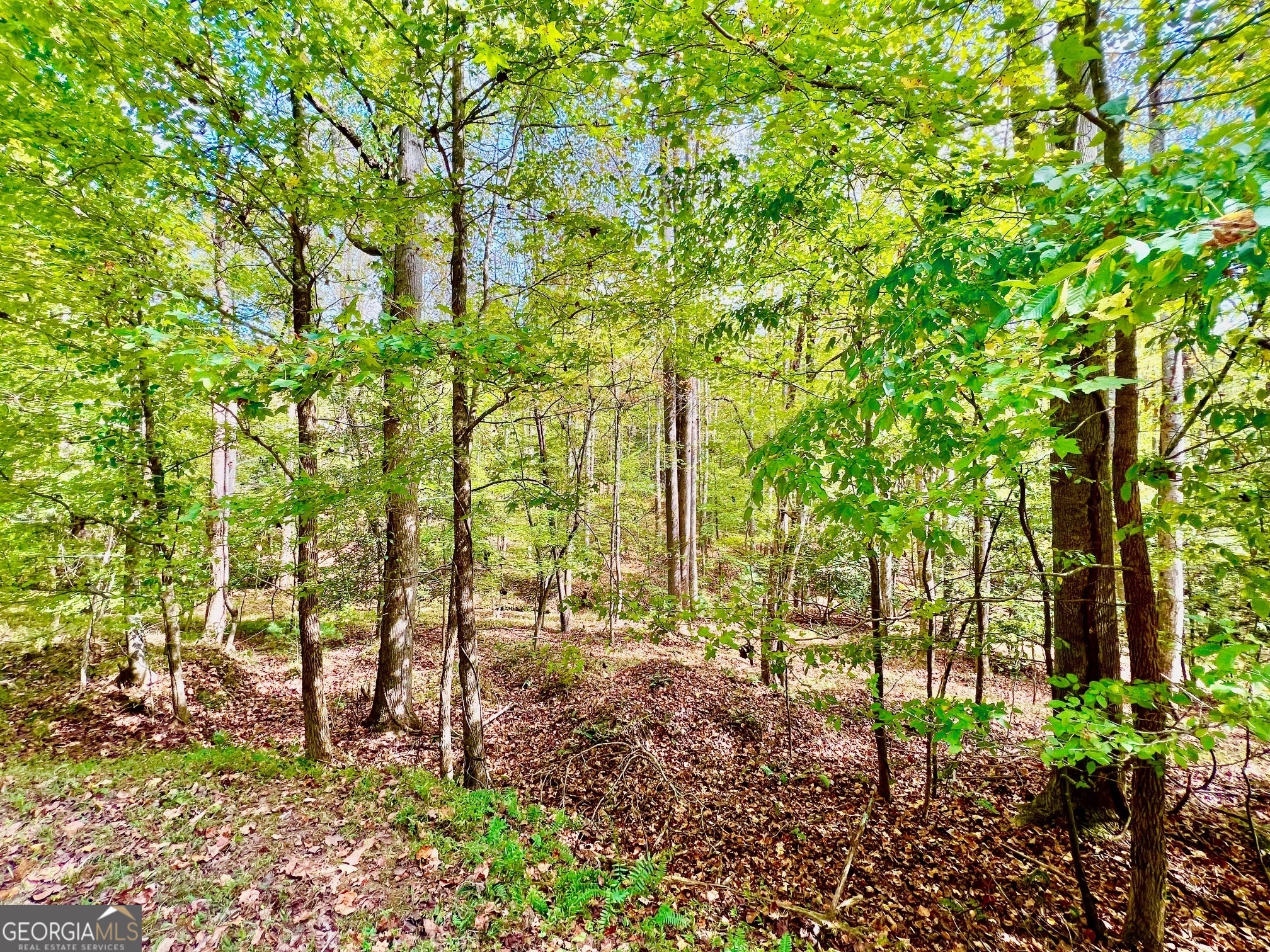 574 S Satsuma Court Property Photo 11