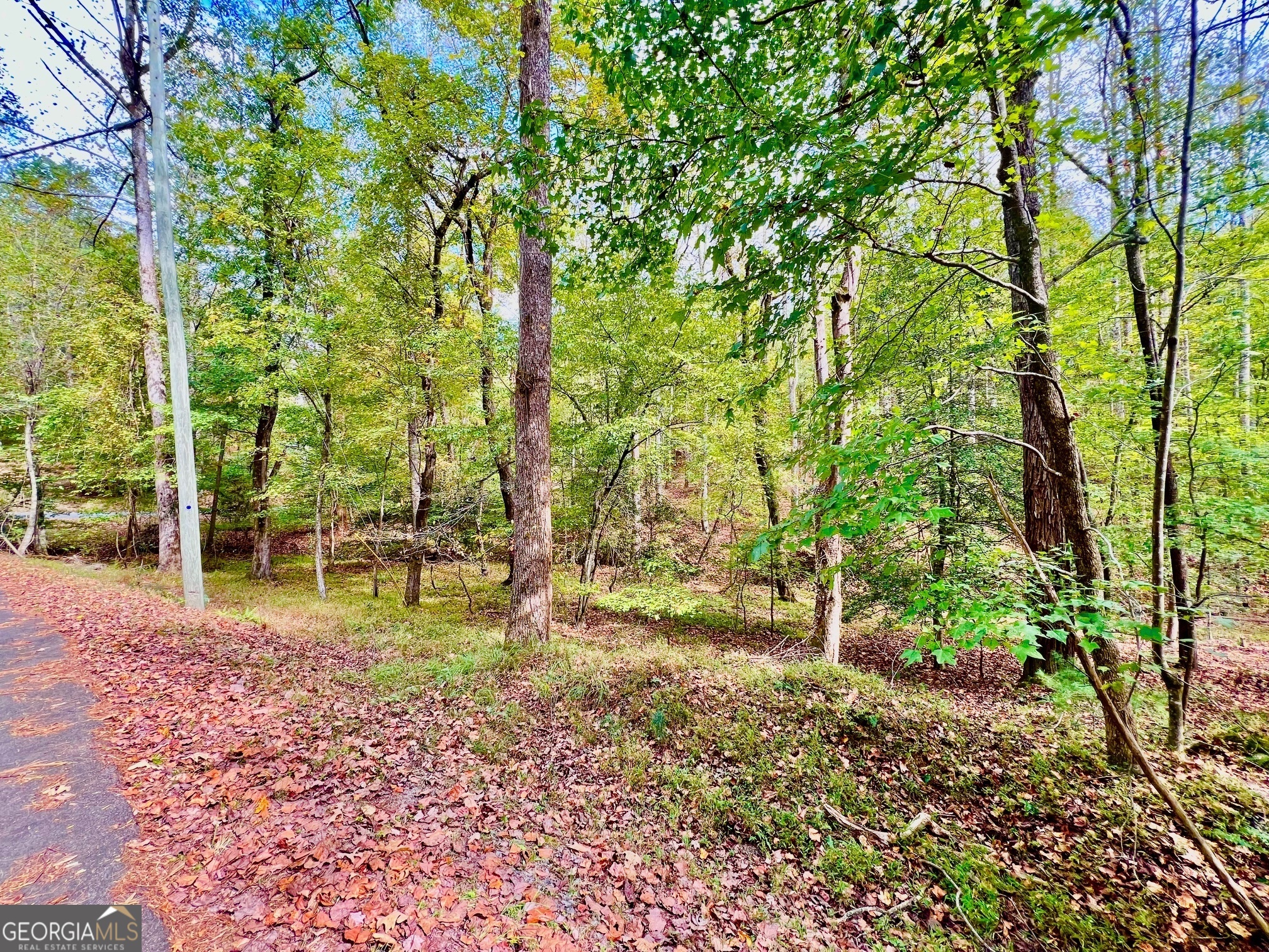 574 S Satsuma Court Property Photo 12