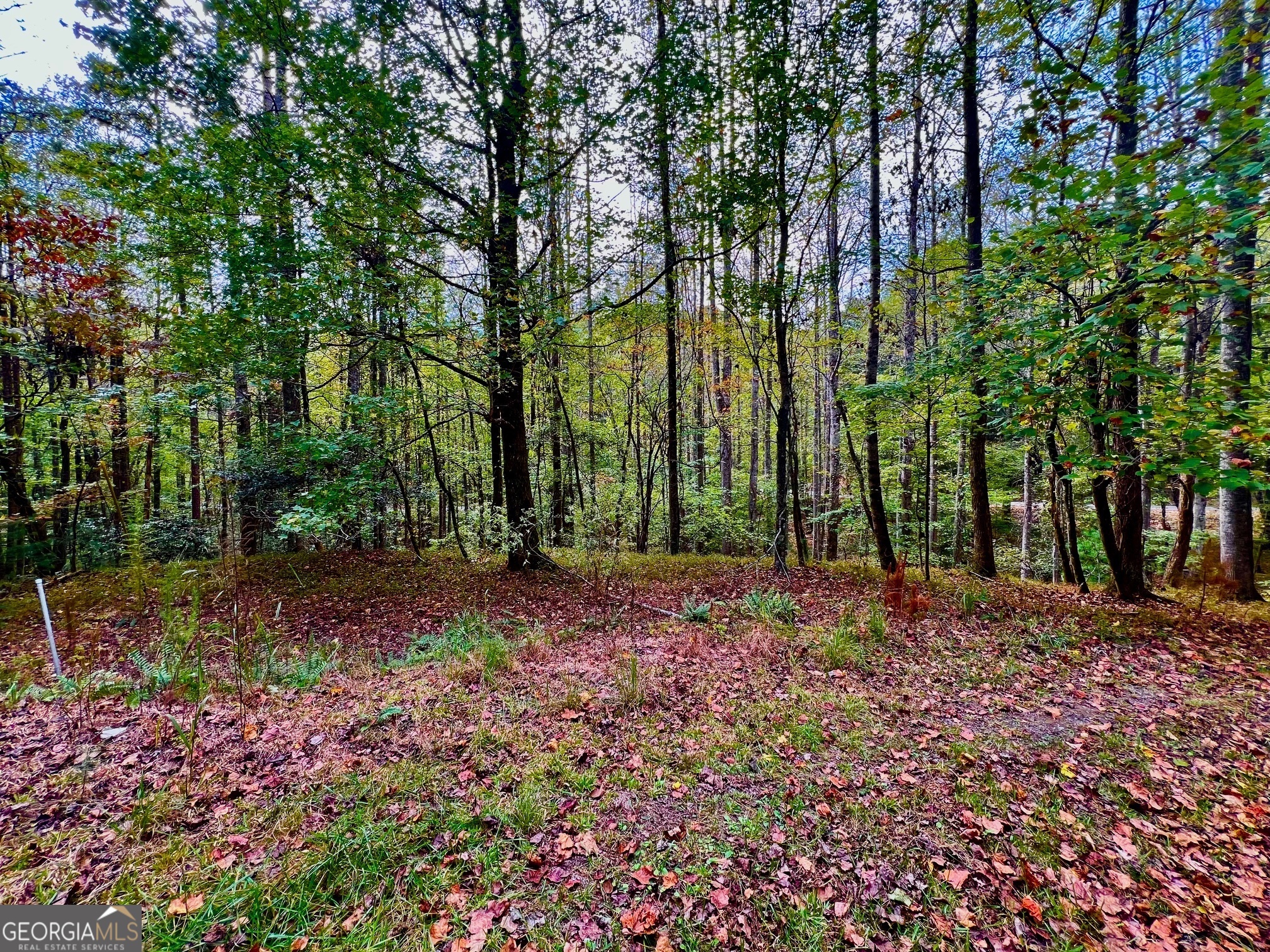 574 S Satsuma Court Property Photo 13