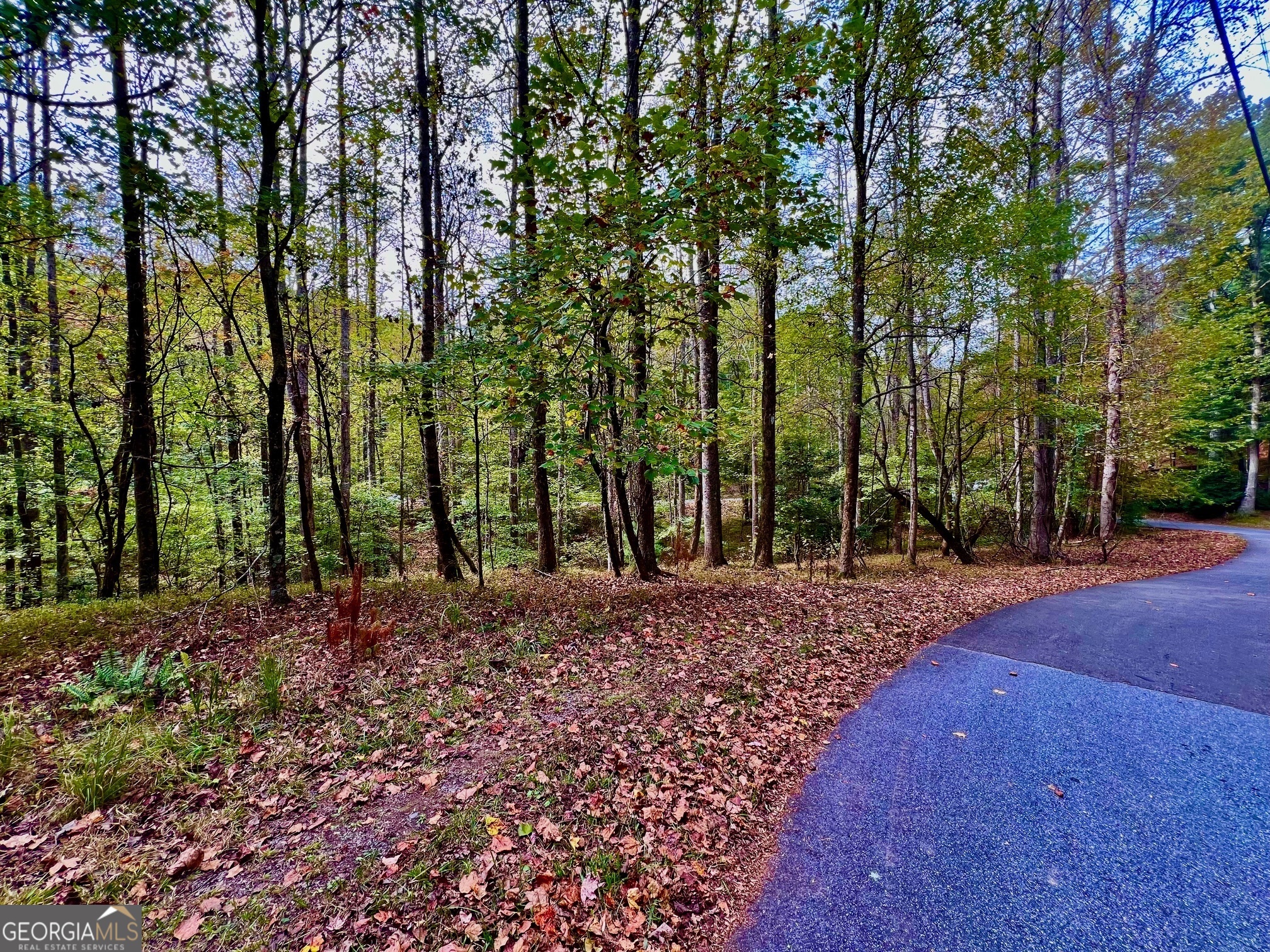 574 S Satsuma Court Property Photo 14