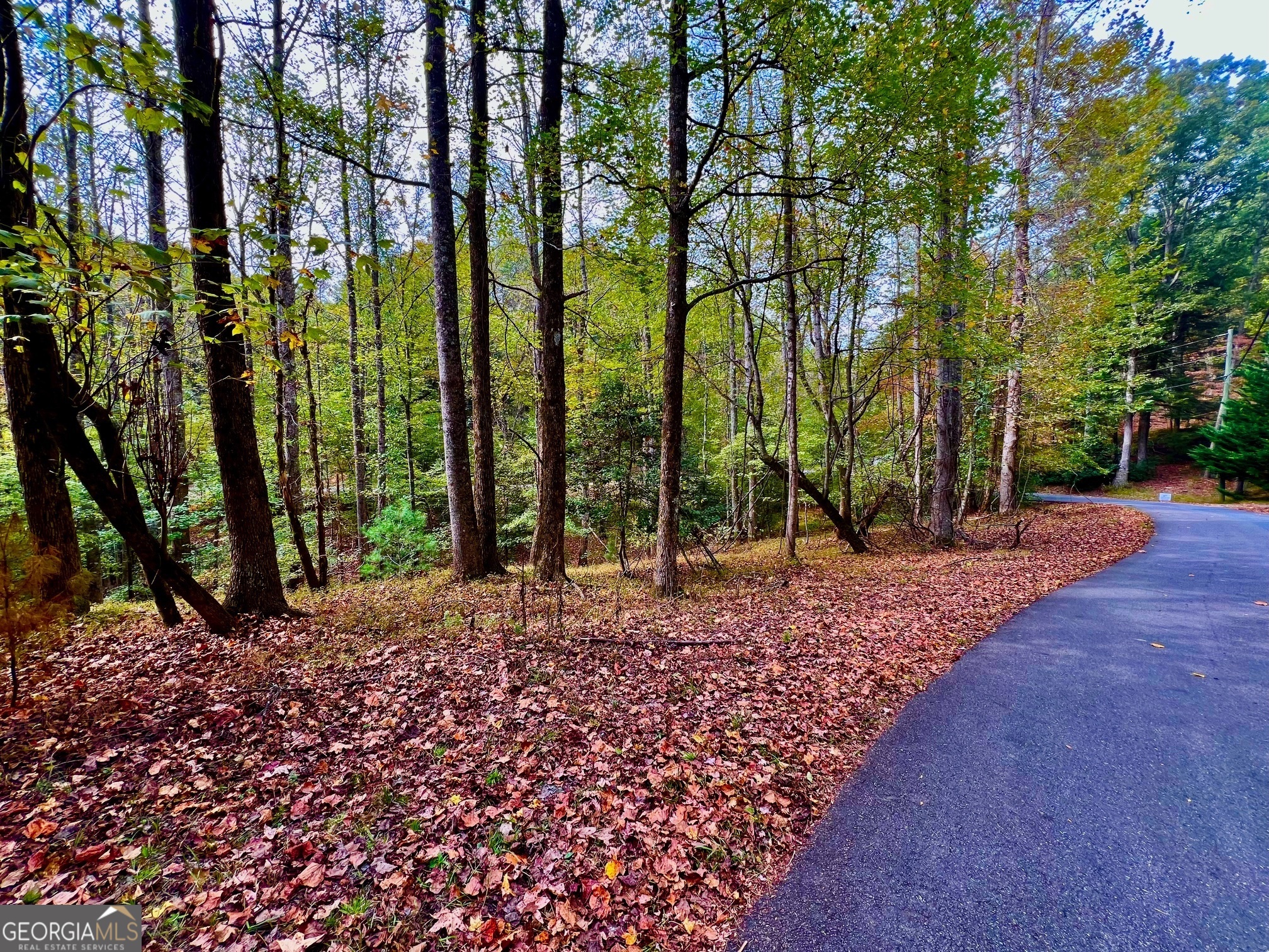 574 S Satsuma Court Property Photo 17
