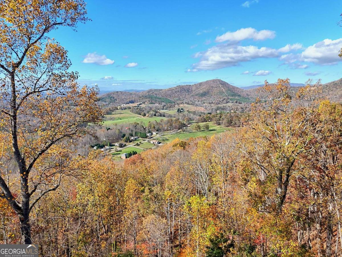 1279 Harris Ridge Road Property Photo 2