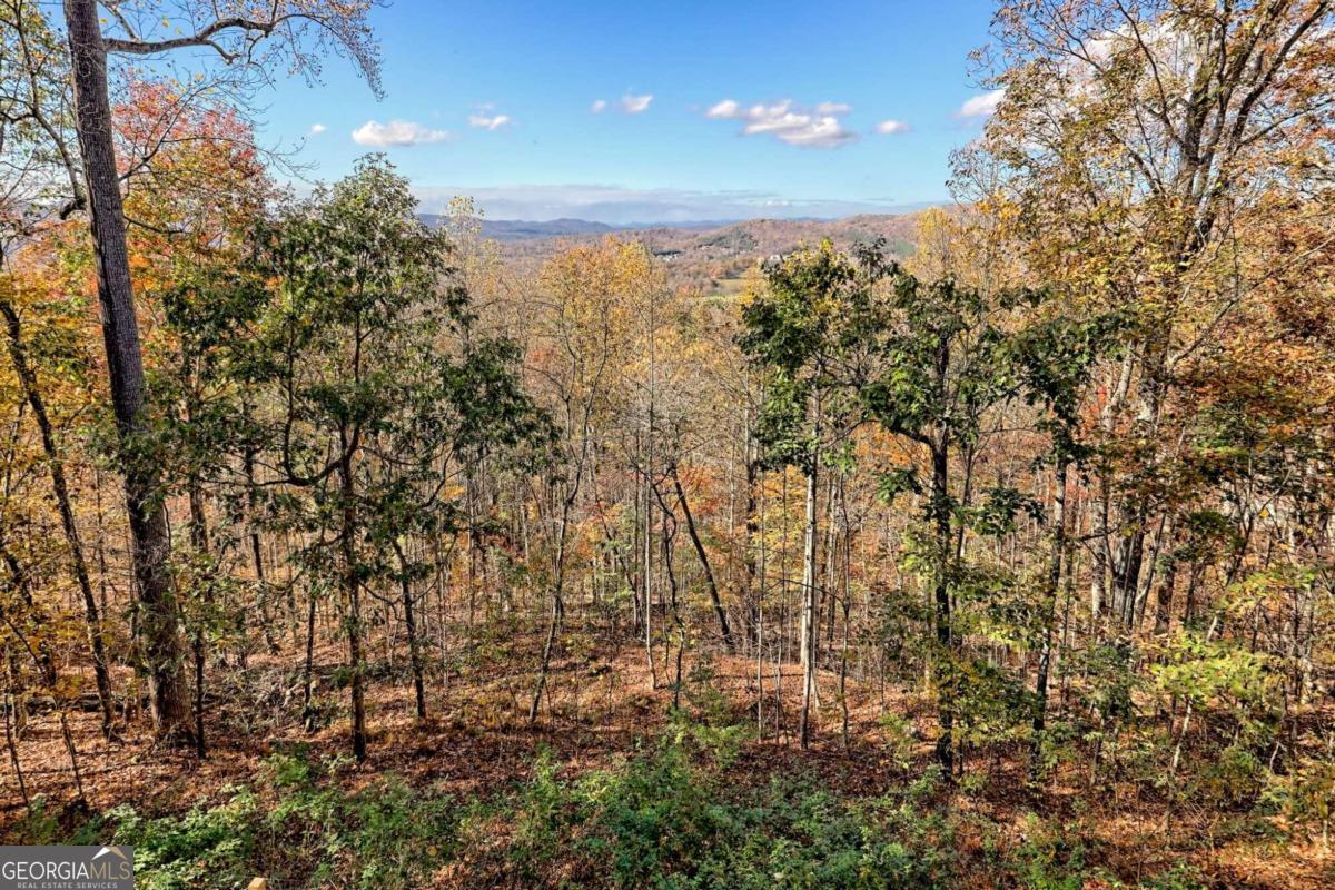 1279 Harris Ridge Road Property Photo 61